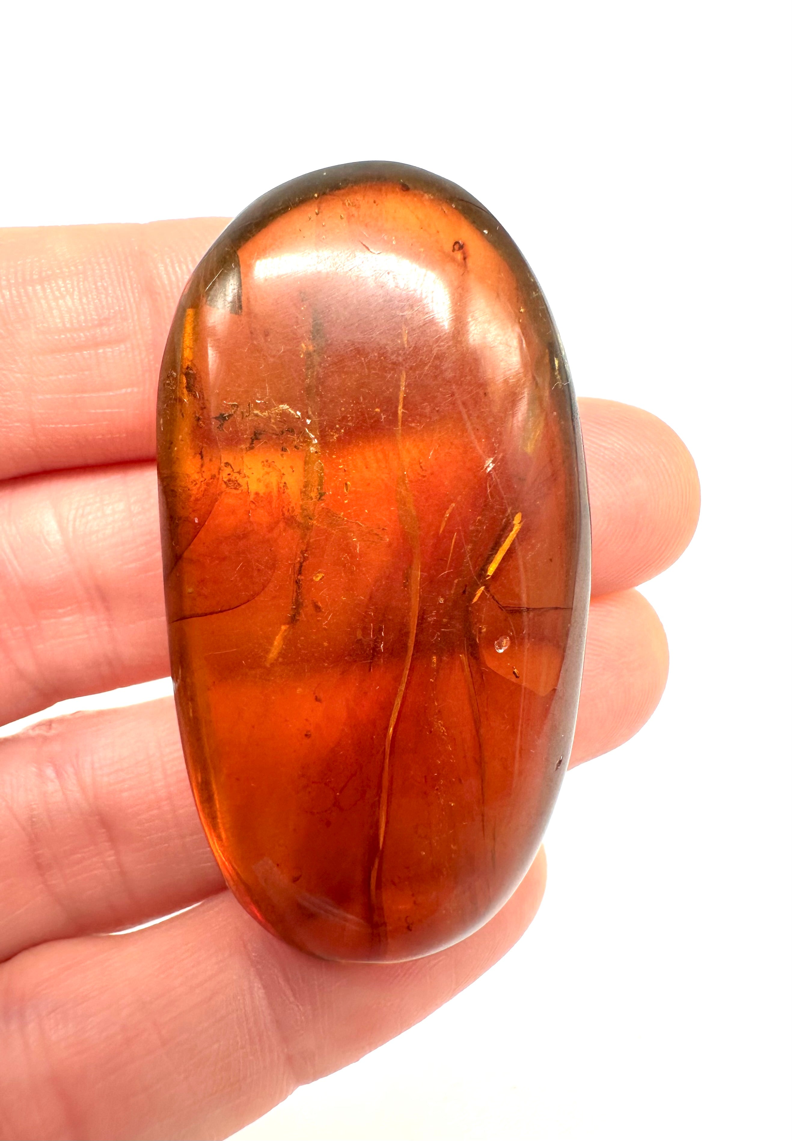 Insect in amber – Hukawng, Myanmar - IJ051