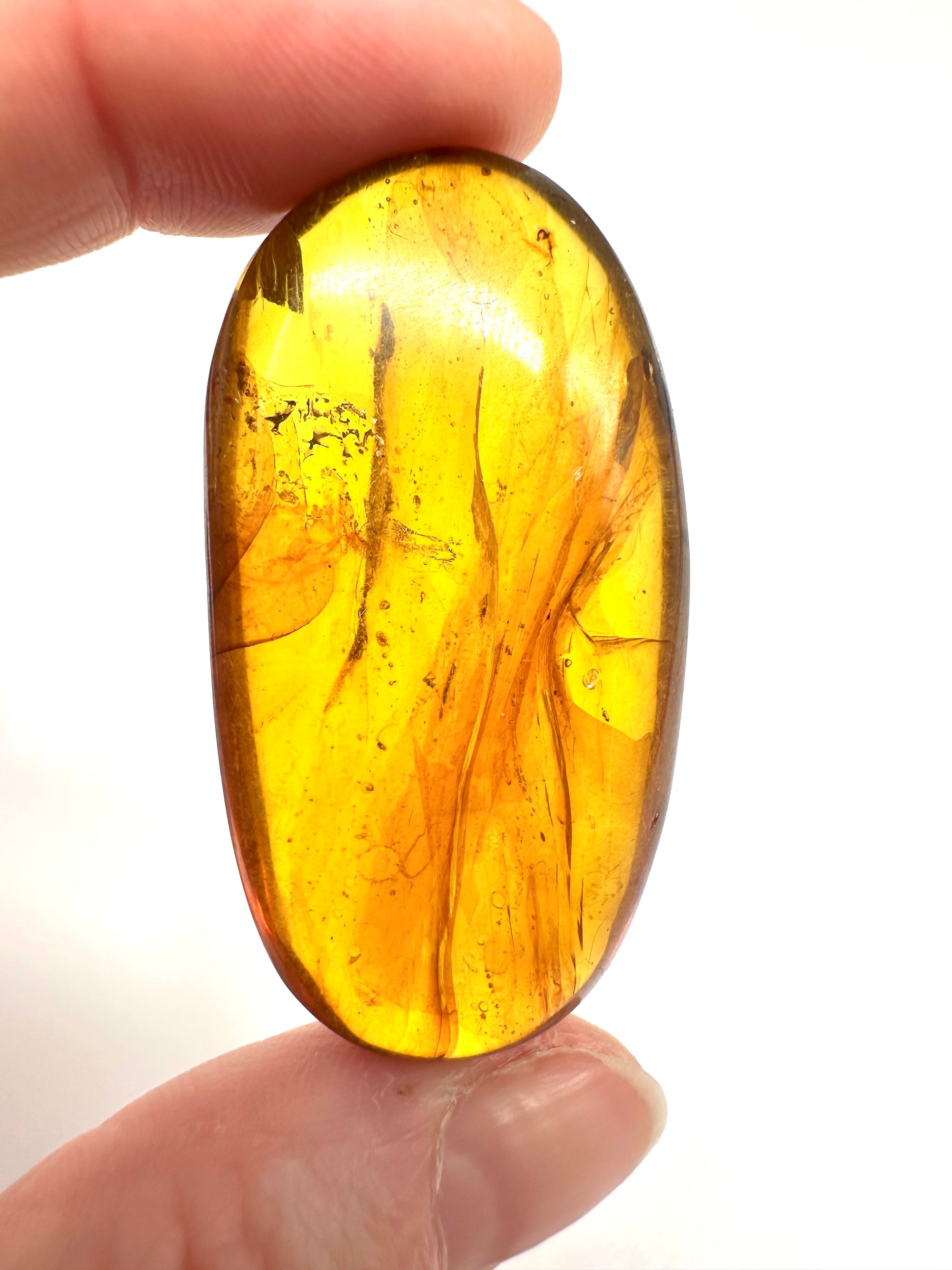 Insect in amber – Hukawng, Myanmar