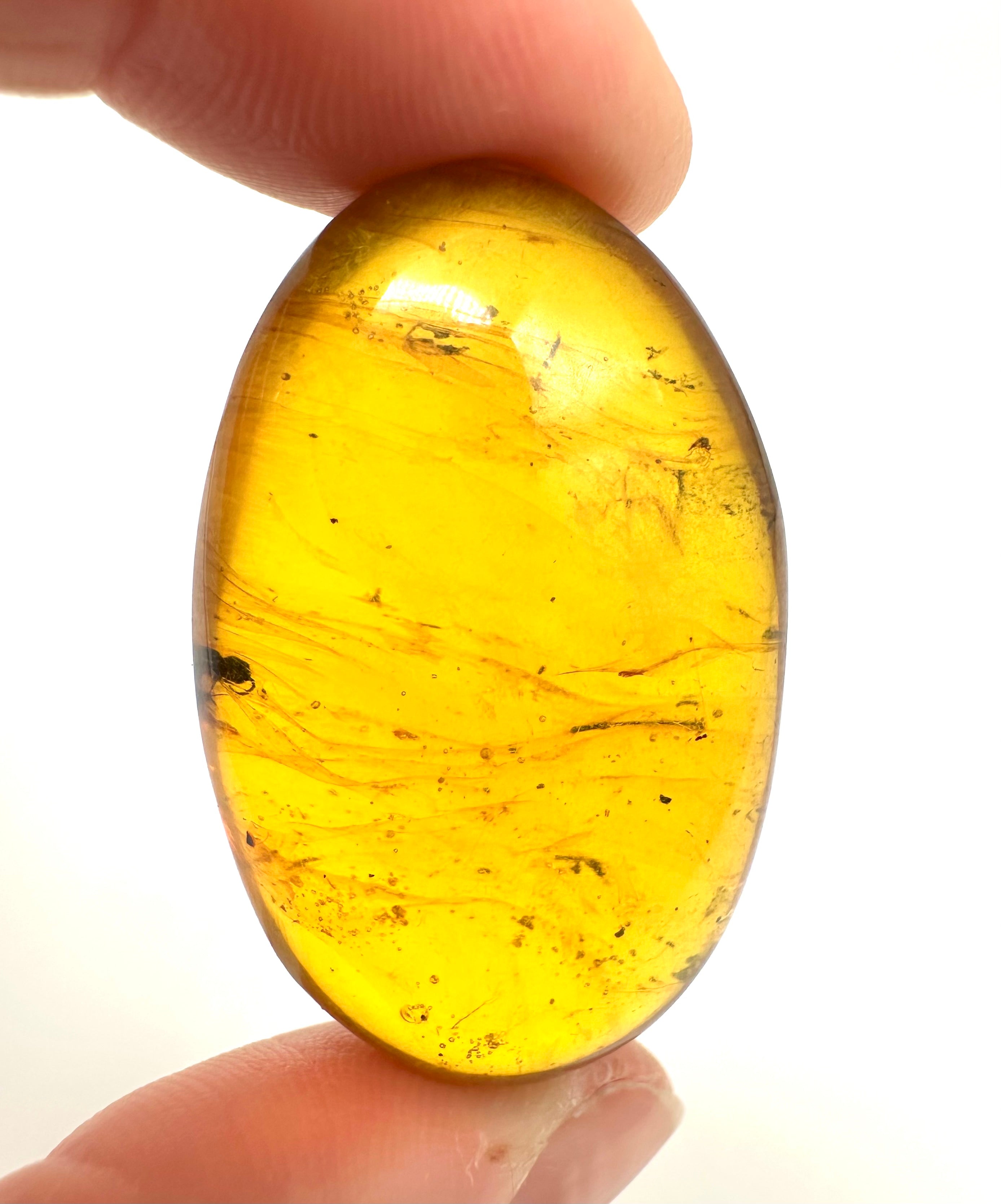 Insect in amber – Hukawng, Myanmar - IJ052