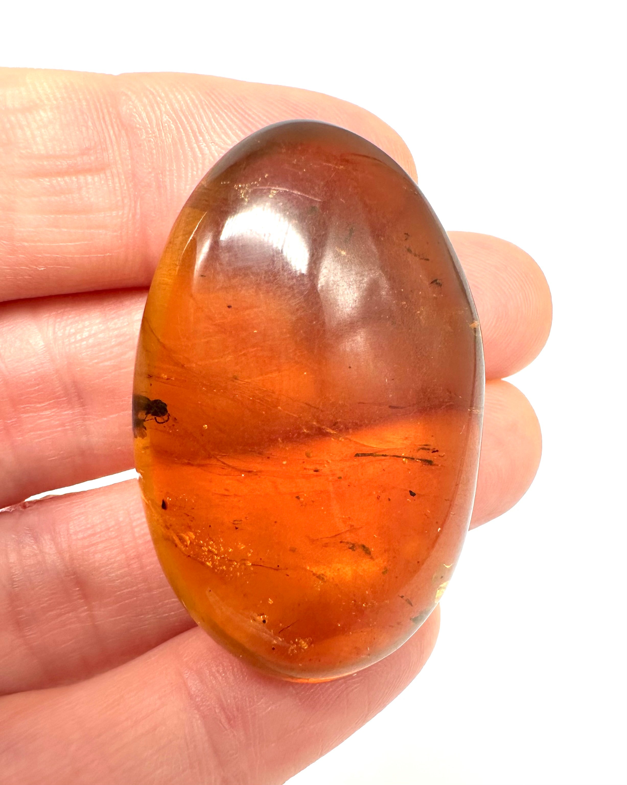Insect in amber – Hukawng, Myanmar - IJ052