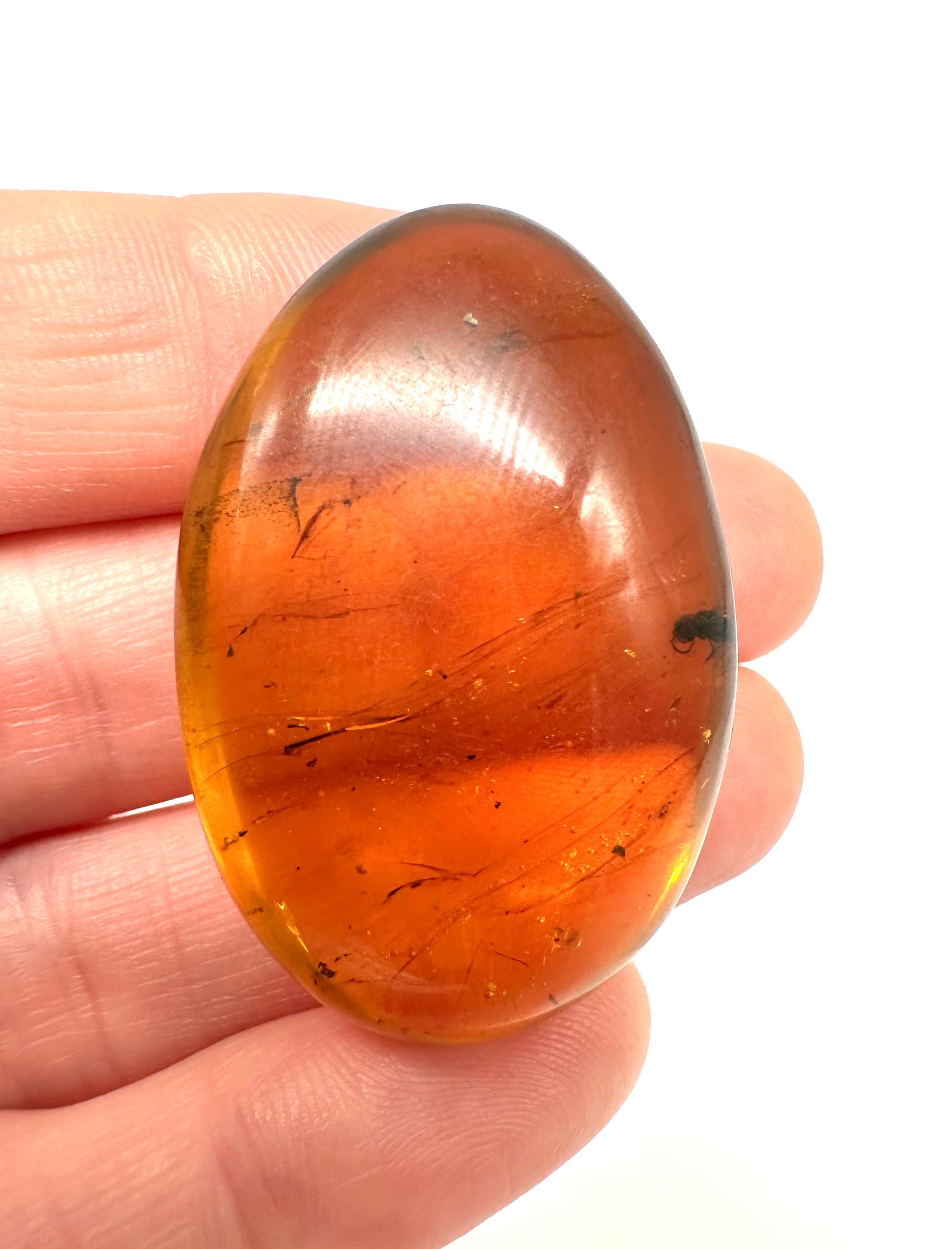 Insect in amber – Hukawng, Myanmar - IJ052