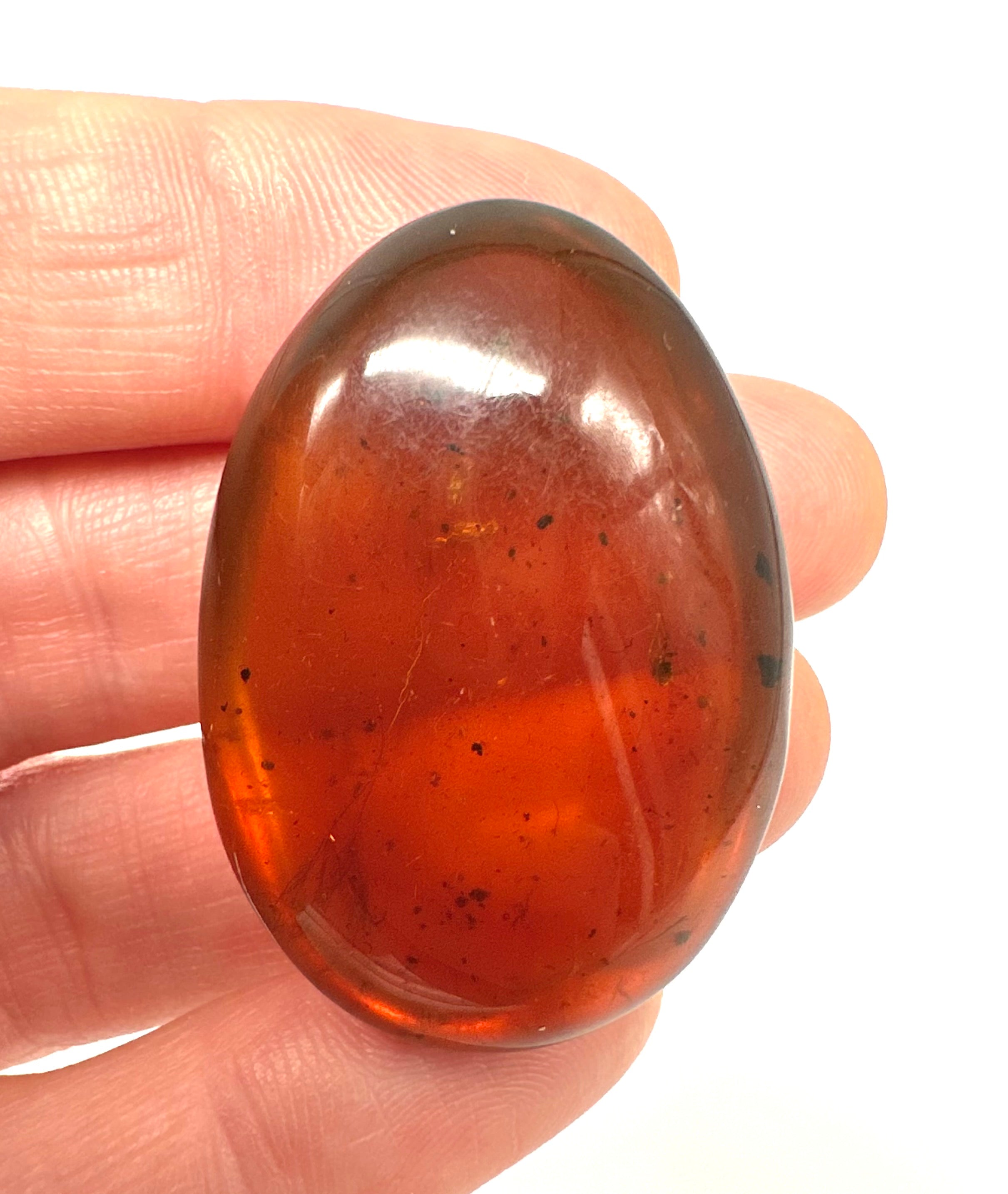 Insect in amber – Hukawng, Myanmar - IJ053