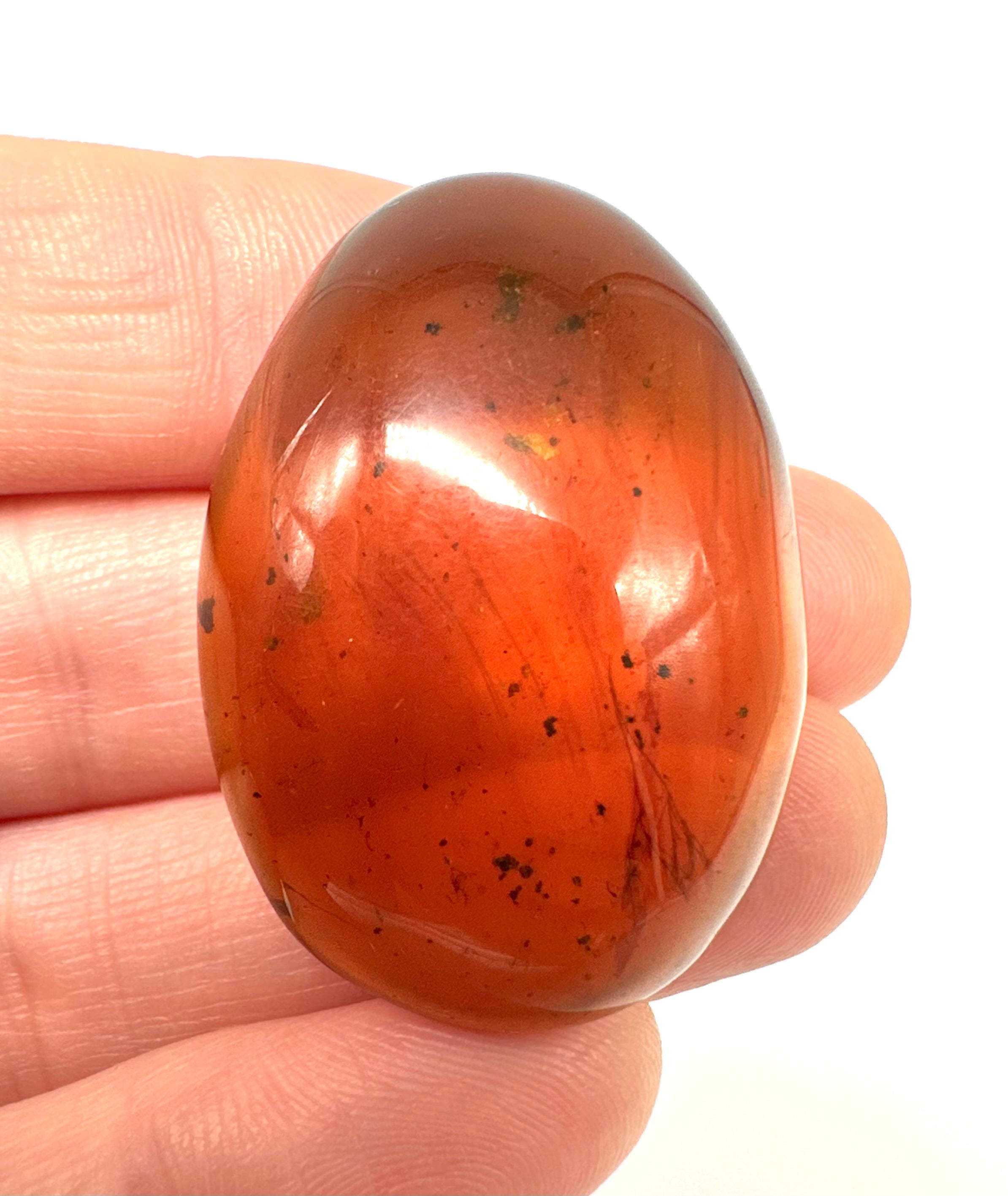 Insect in amber – Hukawng, Myanmar - IJ053
