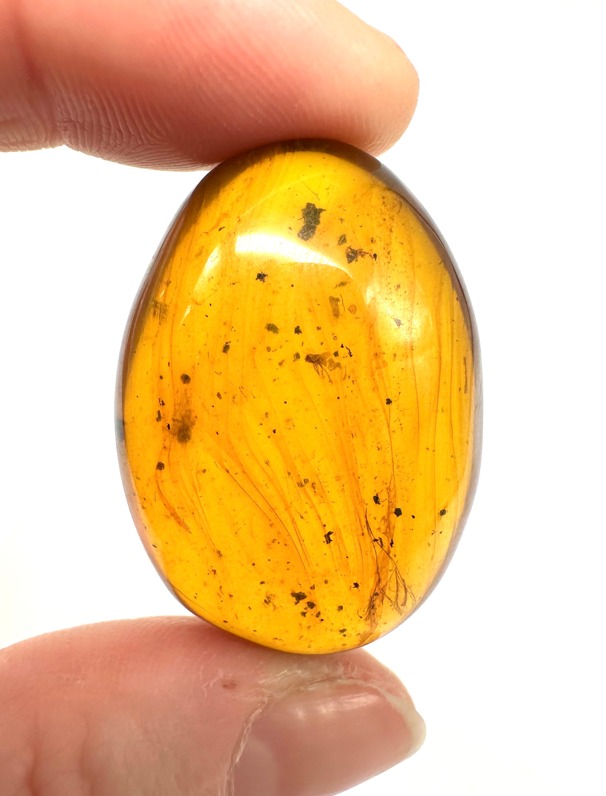 Insect in amber – Hukawng, Myanmar