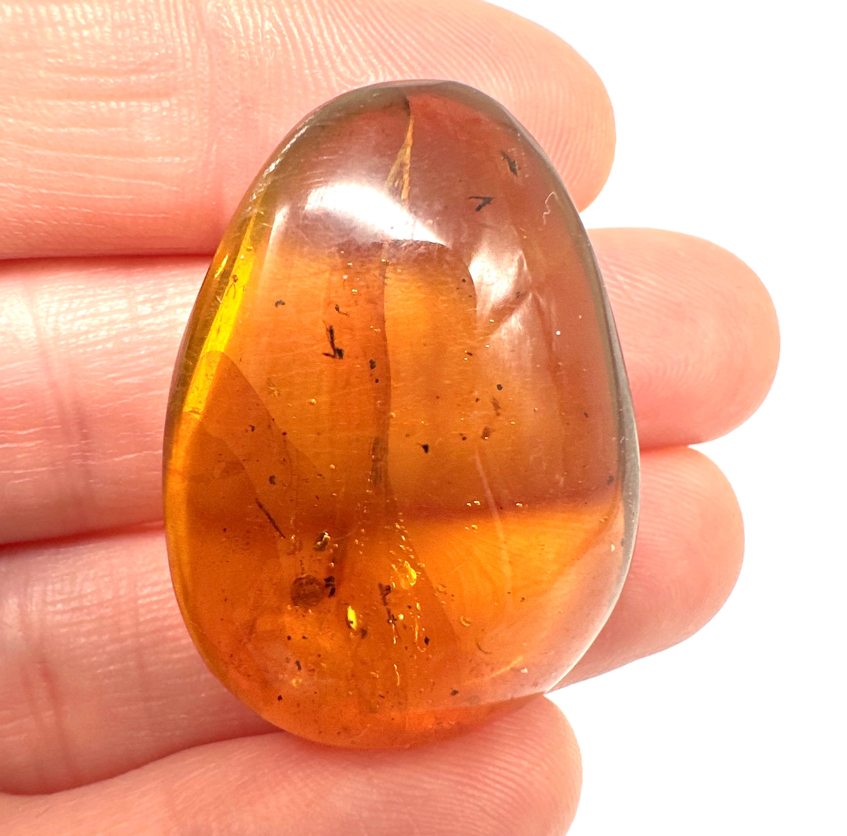 Insect in amber – Hukawng, Myanmar - IJ055