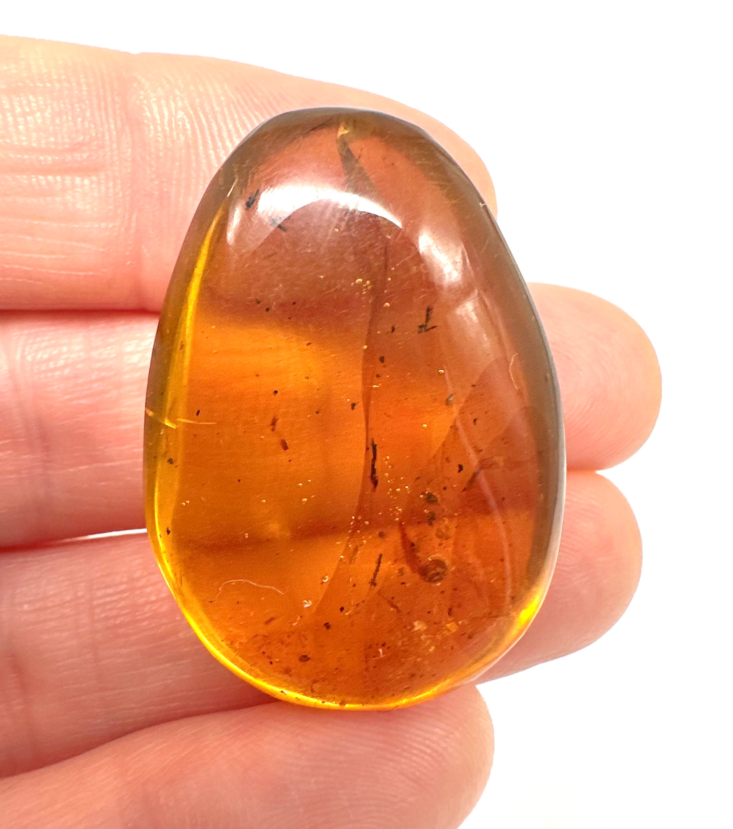 Insect in amber – Hukawng, Myanmar - IJ055