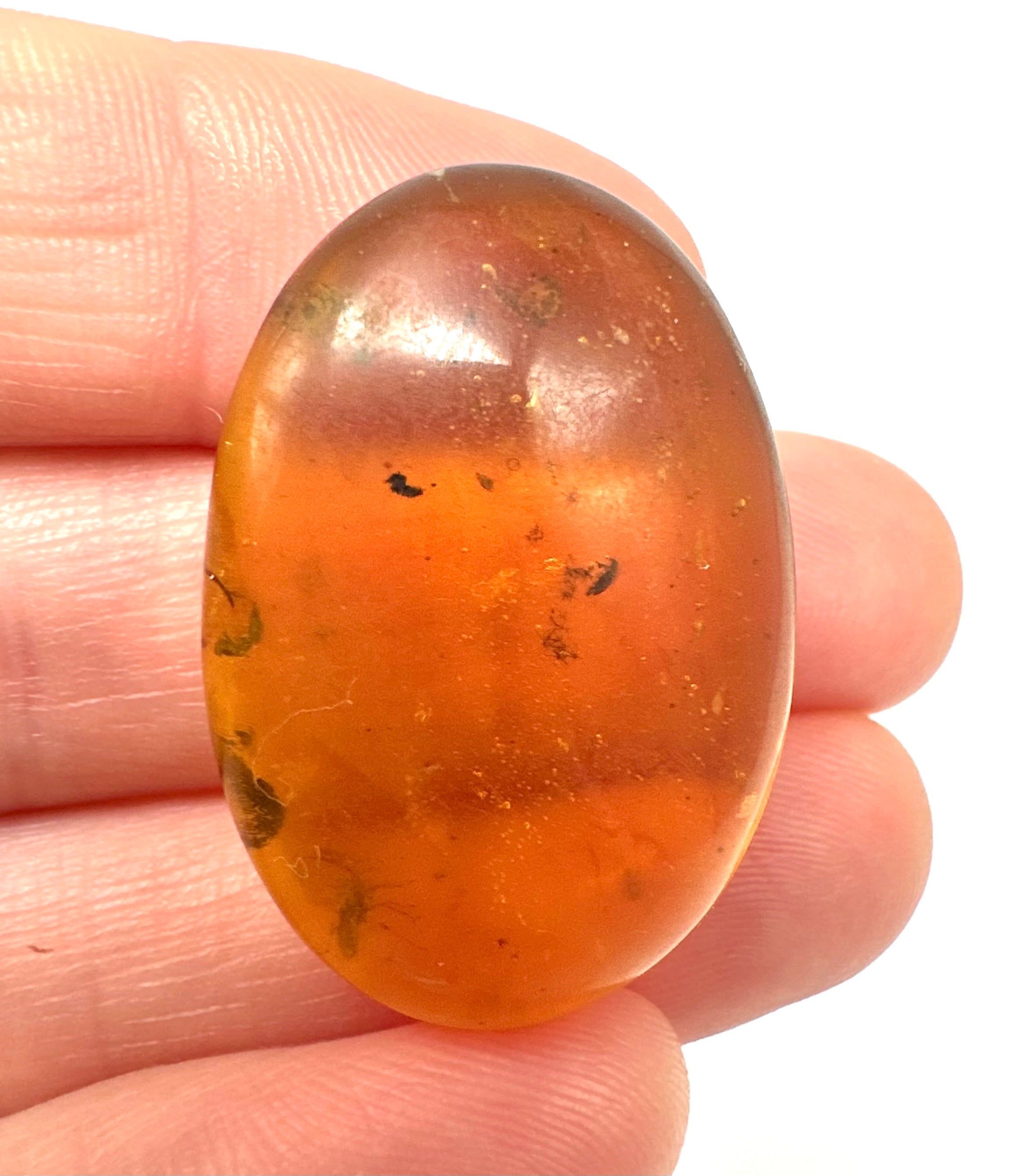 Insect in amber – Hukawng, Myanmar - IJ057