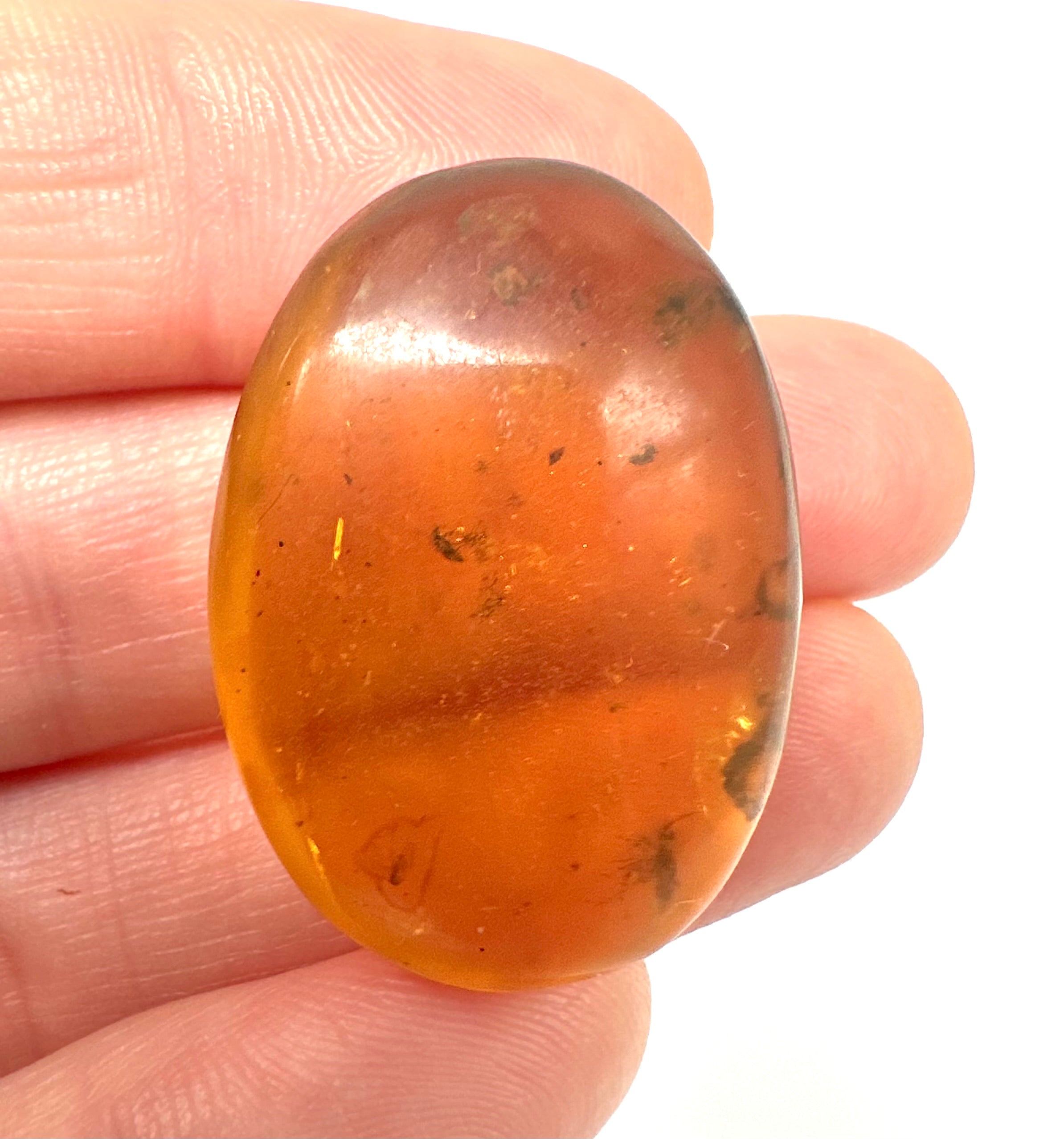 Insect in amber – Hukawng, Myanmar - IJ057