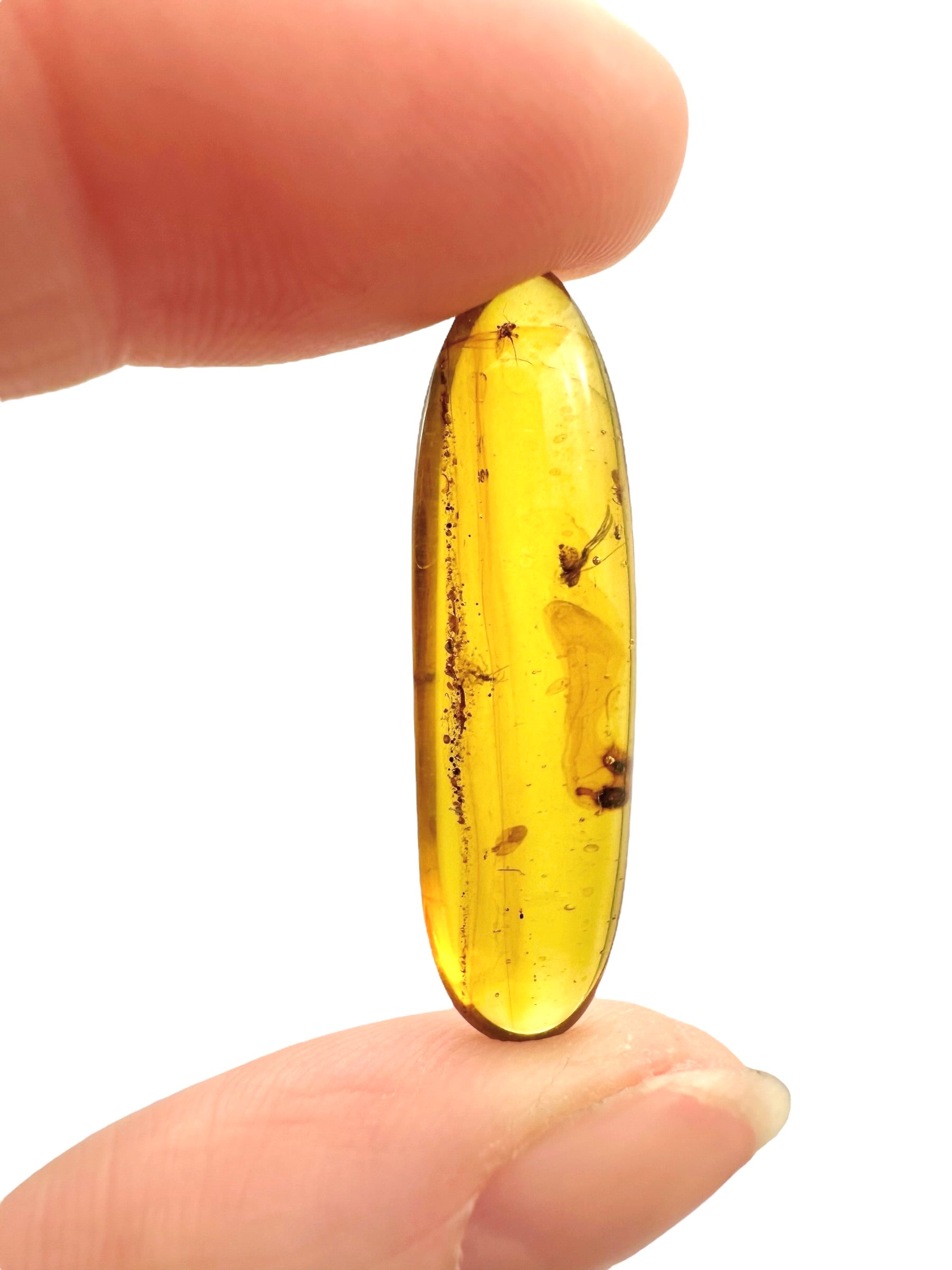 Insect in amber – Hukawng, Myanmar - IJ058