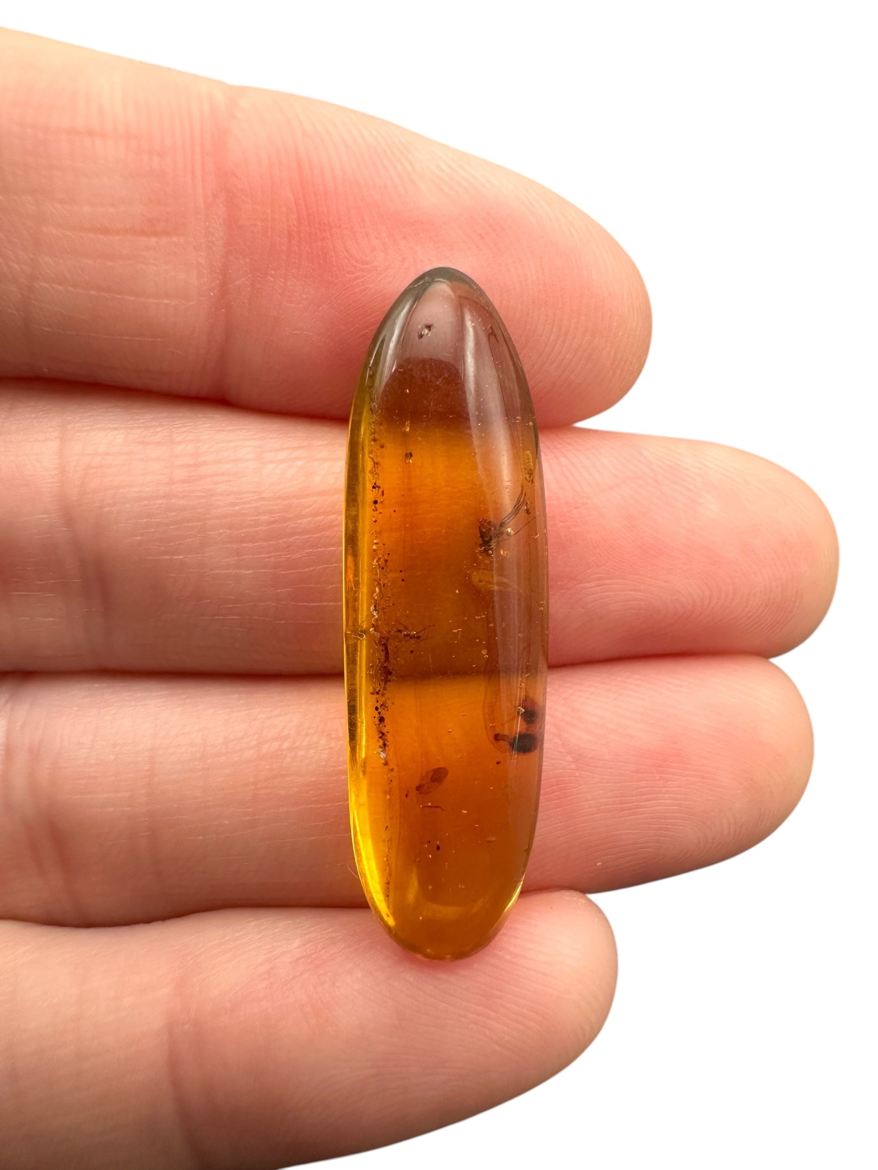 Insect in amber – Hukawng, Myanmar - IJ058