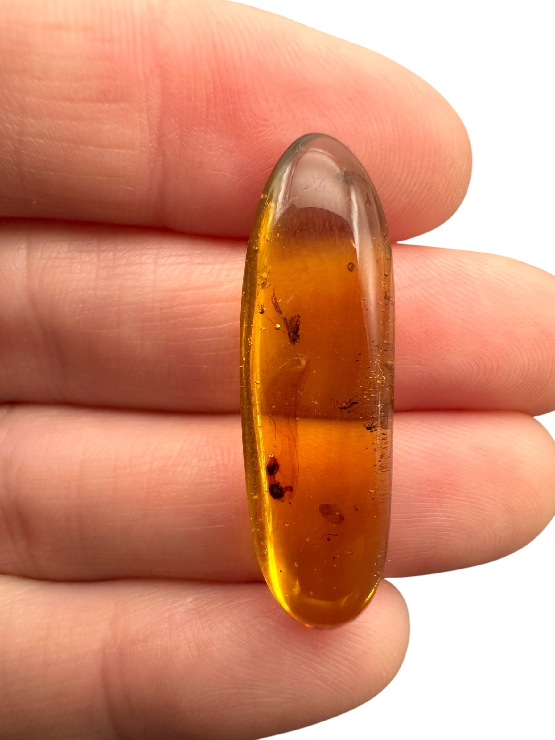 Insect in amber – Hukawng, Myanmar - IJ058