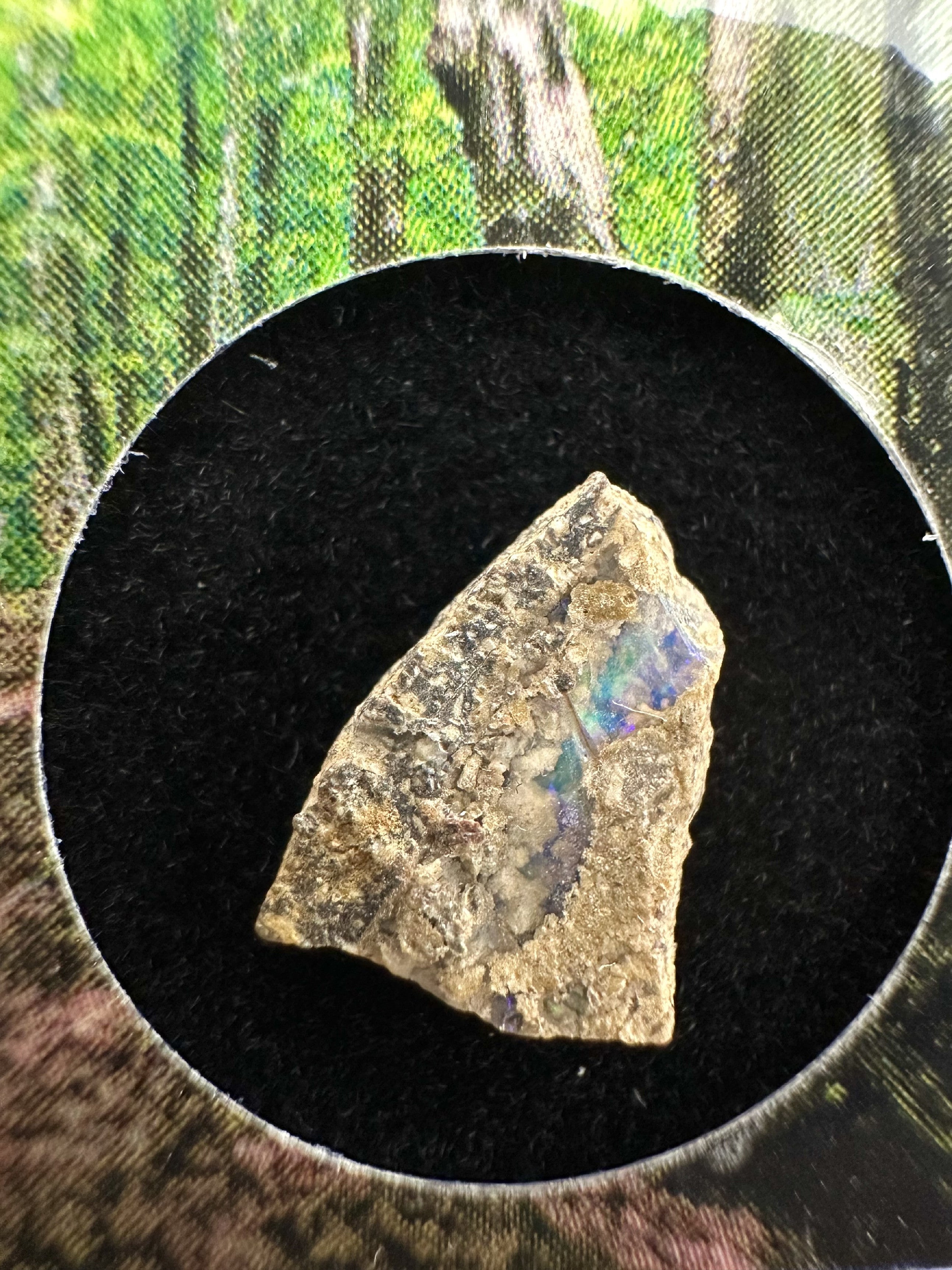 Precious opal in box – Dubnik, Slovakia - SOP045