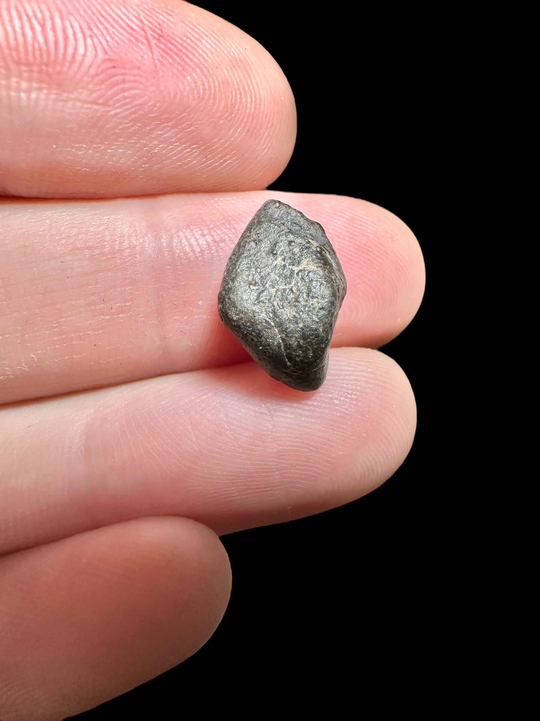 Meteorite NWA 869 – 1,14g – Northwest Africa - MENW09