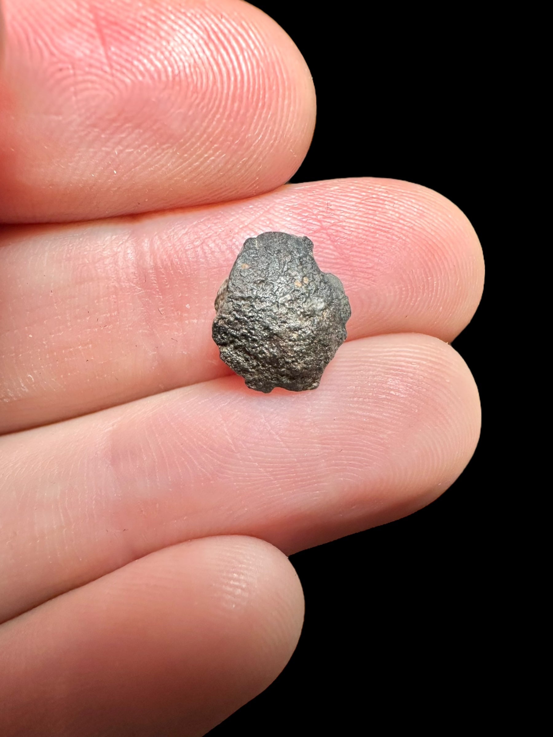 Meteorite NWA 869 – 0,47g – Northwest Africa - MENW11