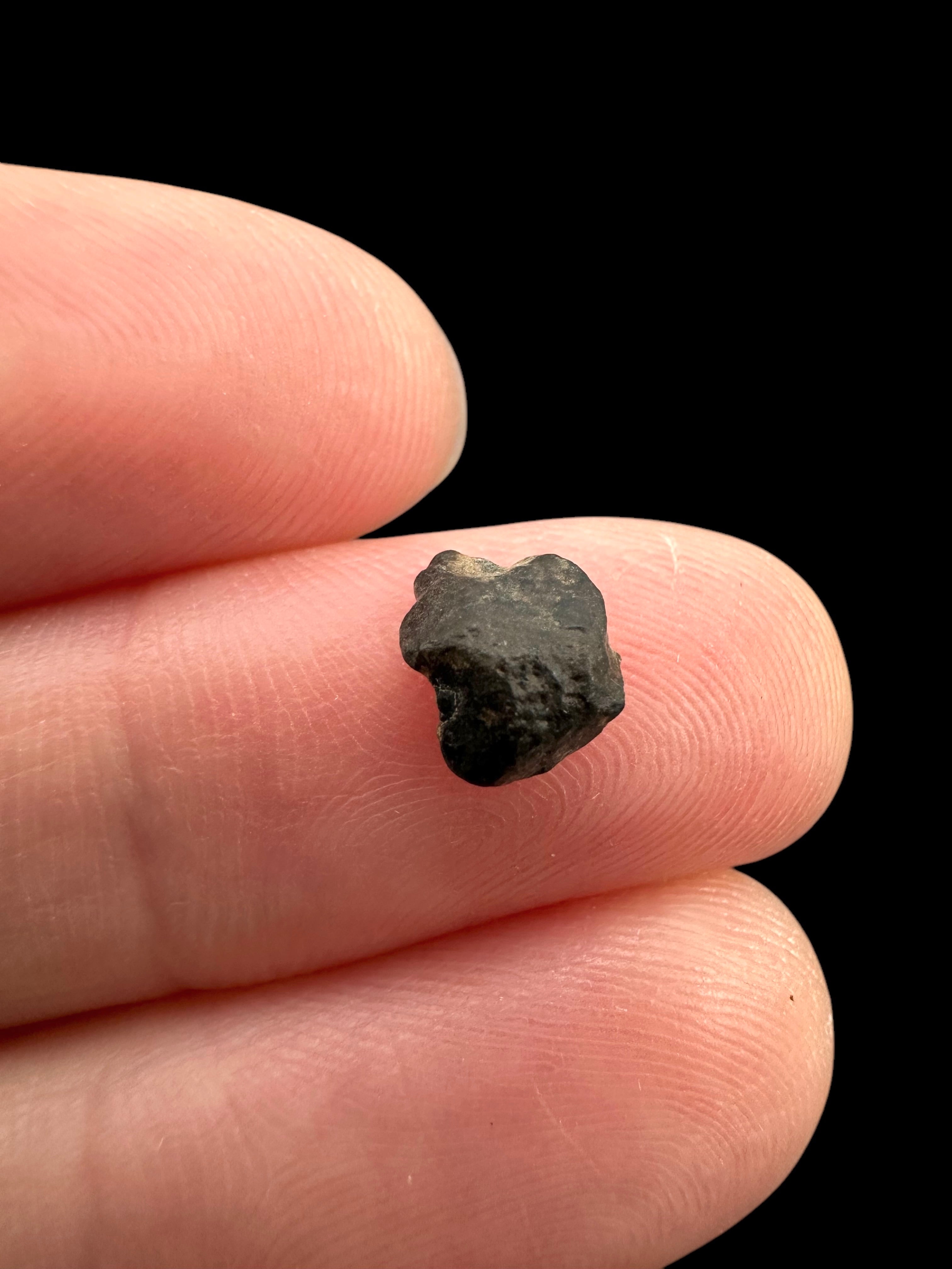Meteorite NWA 869 – 0,2g – Northwest Africa - MENW14