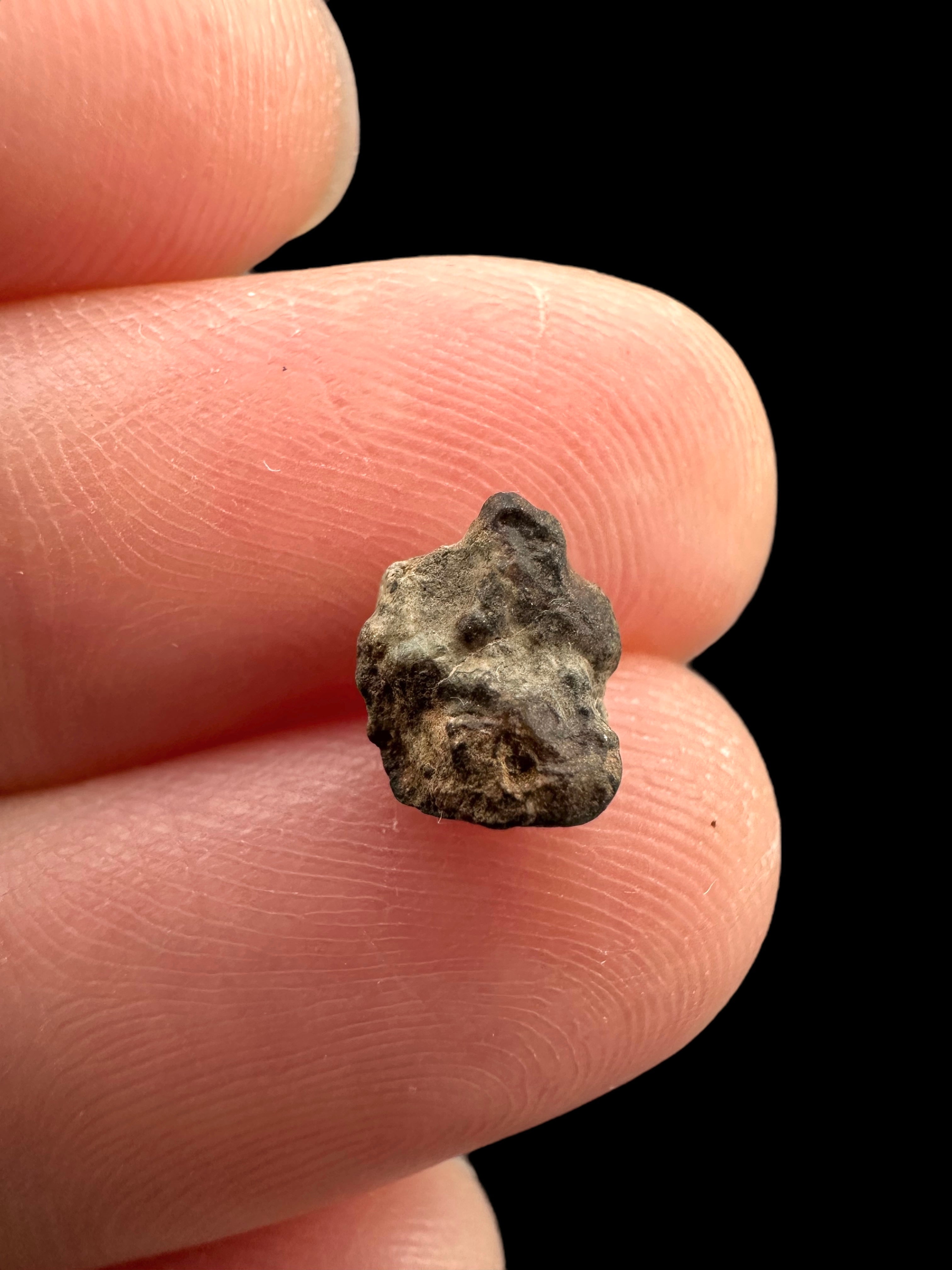 Meteorite NWA 869 – 0,2g – Northwest Africa - MENW14