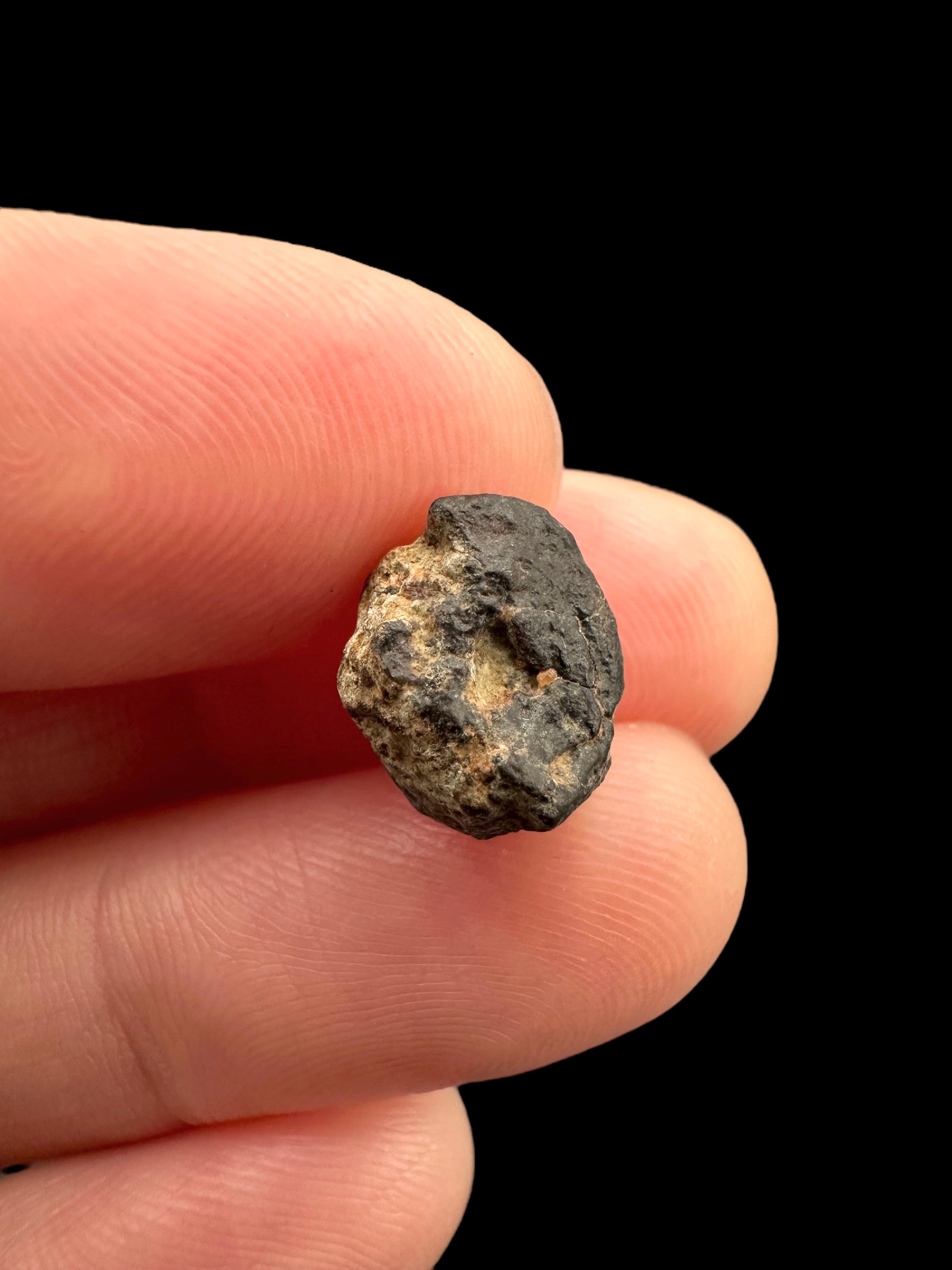 Meteorite NWA 869 – 0,9g – Northwest Africa - MENW15