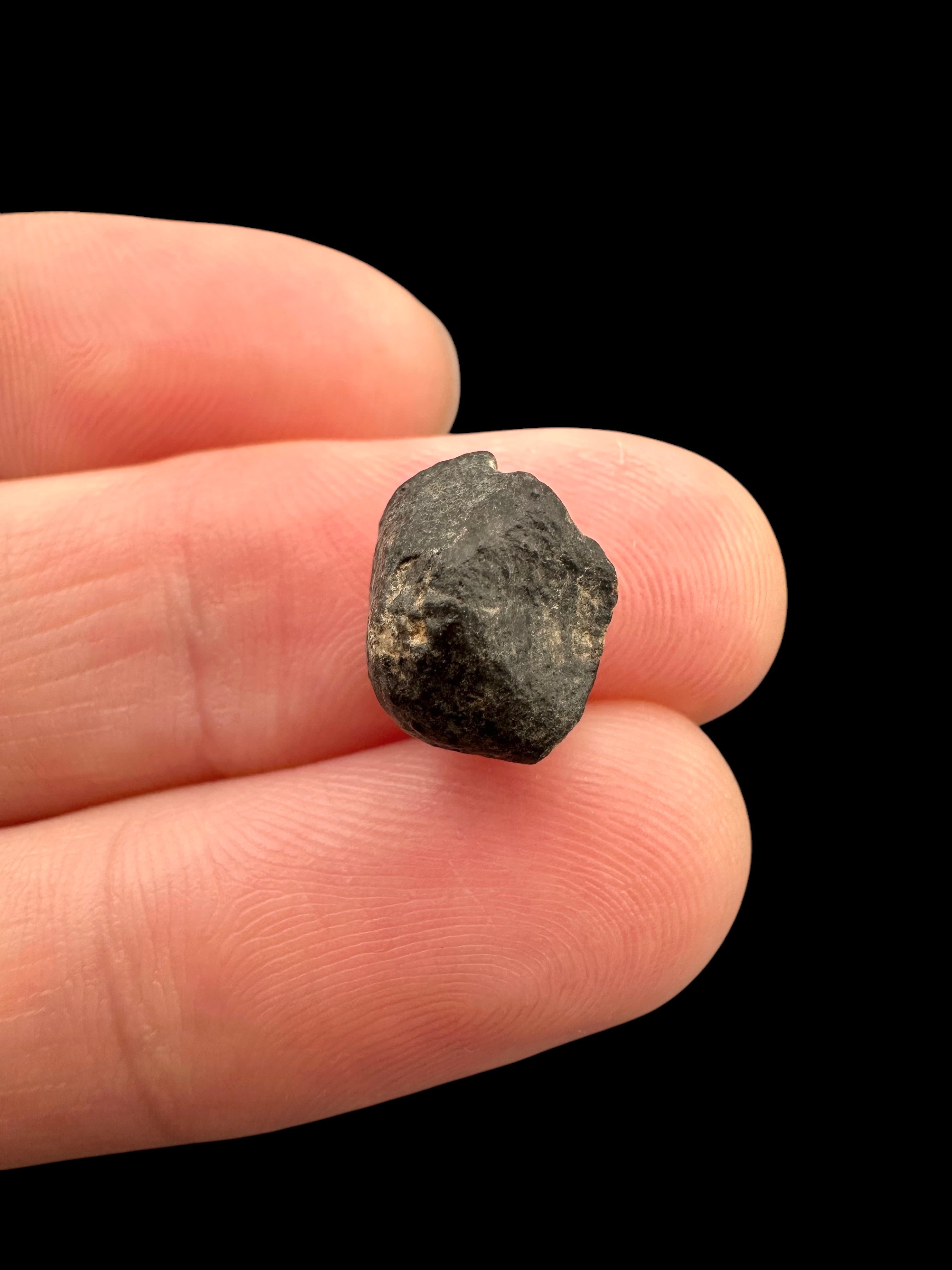 Meteorite NWA 869 – 0,9g – Northwest Africa - MENW15