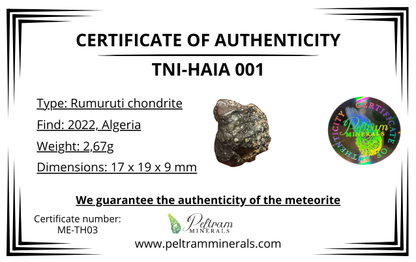 Meteorite Tni-Haia 001 – Algeria – METH03
