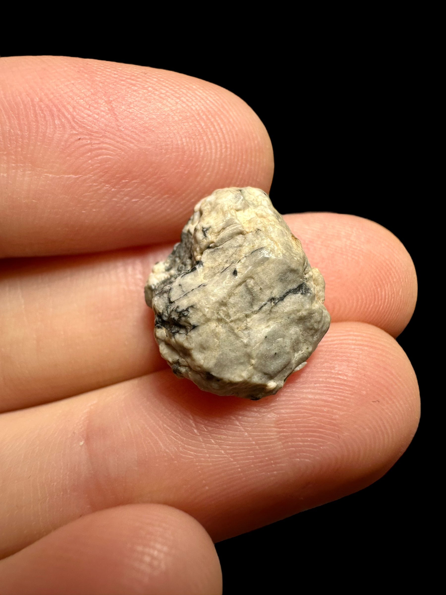 Meteorite Djoua 001 – 2,1g – Algeria - MEDJ08
