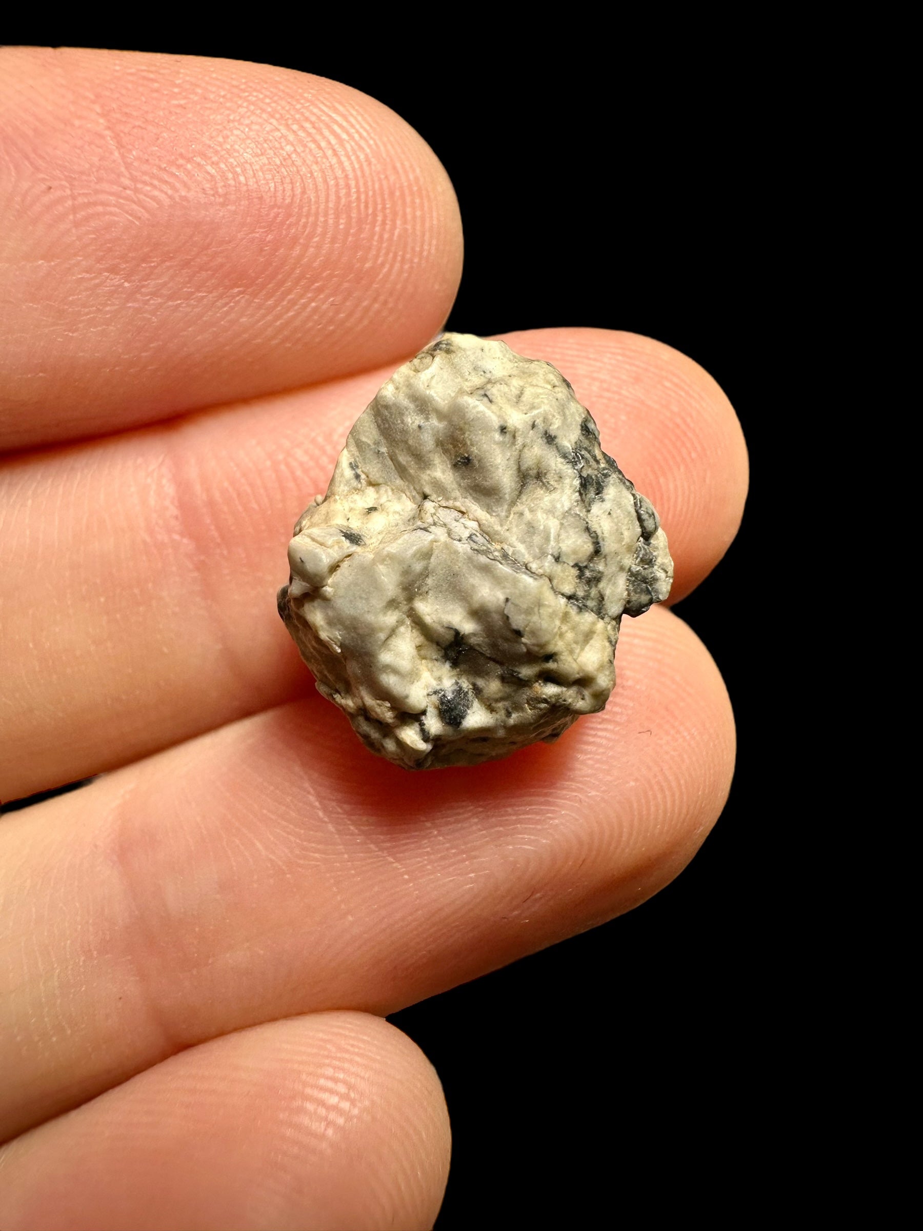 Meteorite Djoua 001 – 2,1g – Algeria - MEDJ08