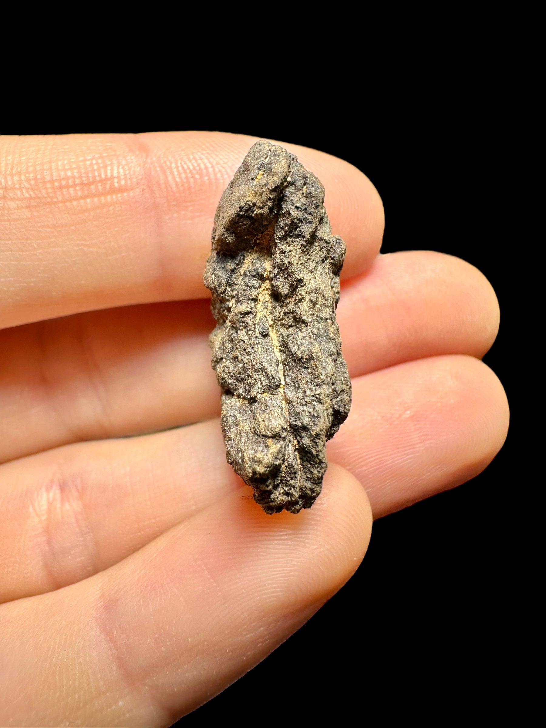 Meteorite Al Haggounia 001 – 8,7g – Western Sahara - MEAH03