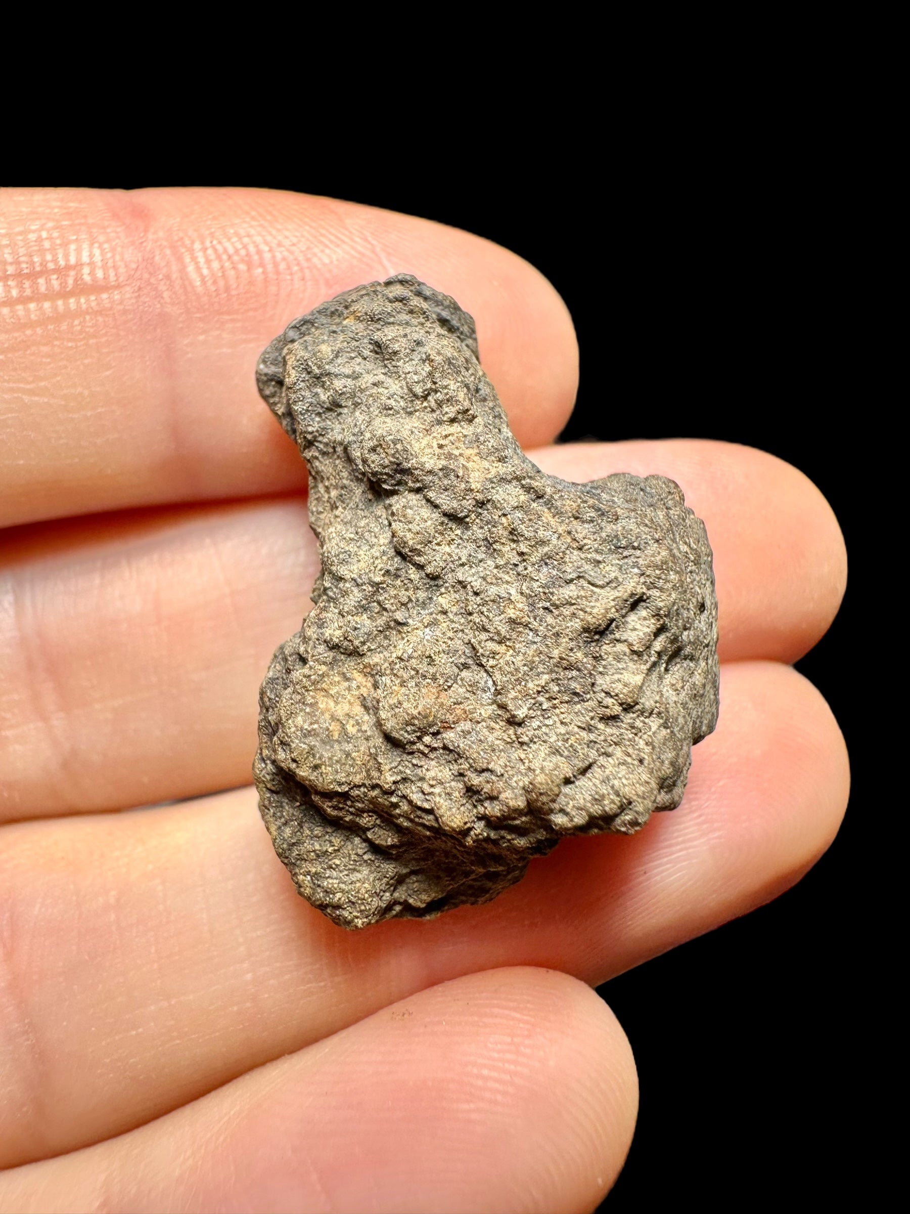 Meteorite Al Haggounia 001 – 8,7g – Western Sahara
