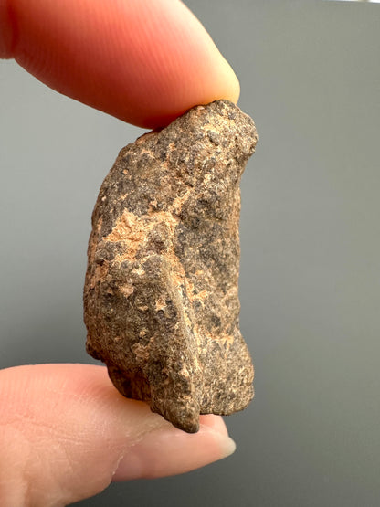 Meteorite Al Haggounia 001 – Western Sahara – MEAH08