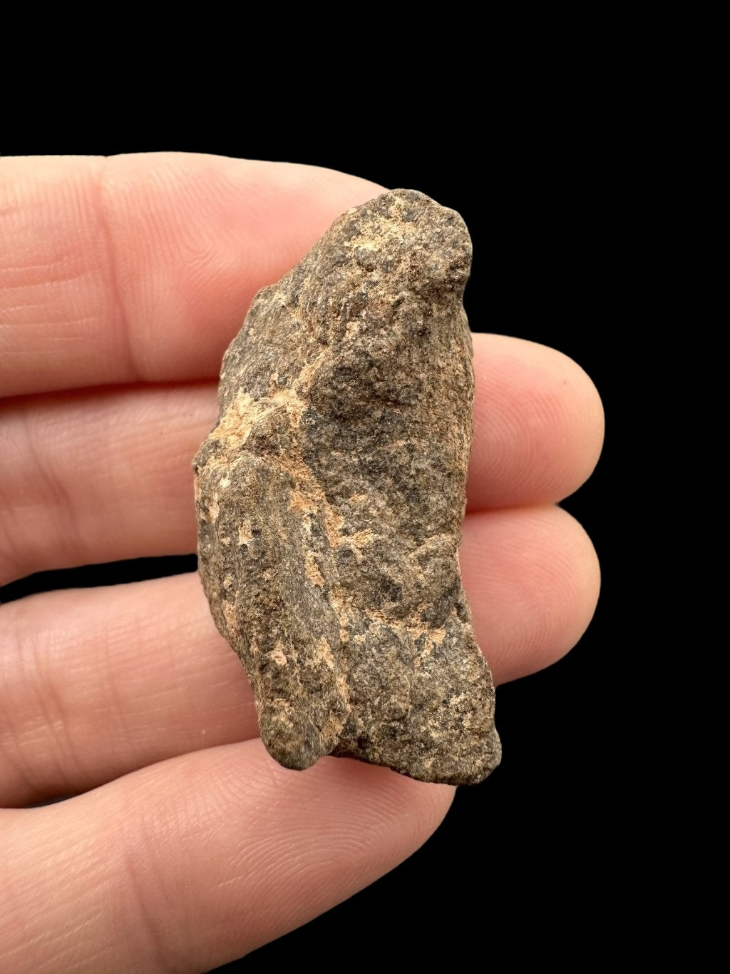 Meteorite Al Haggounia 001 – 11,8g – Western Sahara