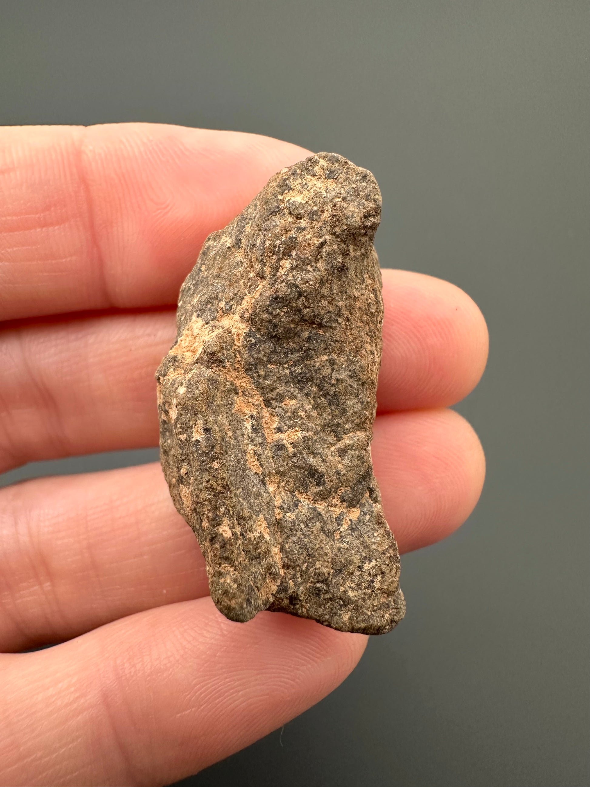 Meteorite Al Haggounia 001 – Western Sahara – MEAH08