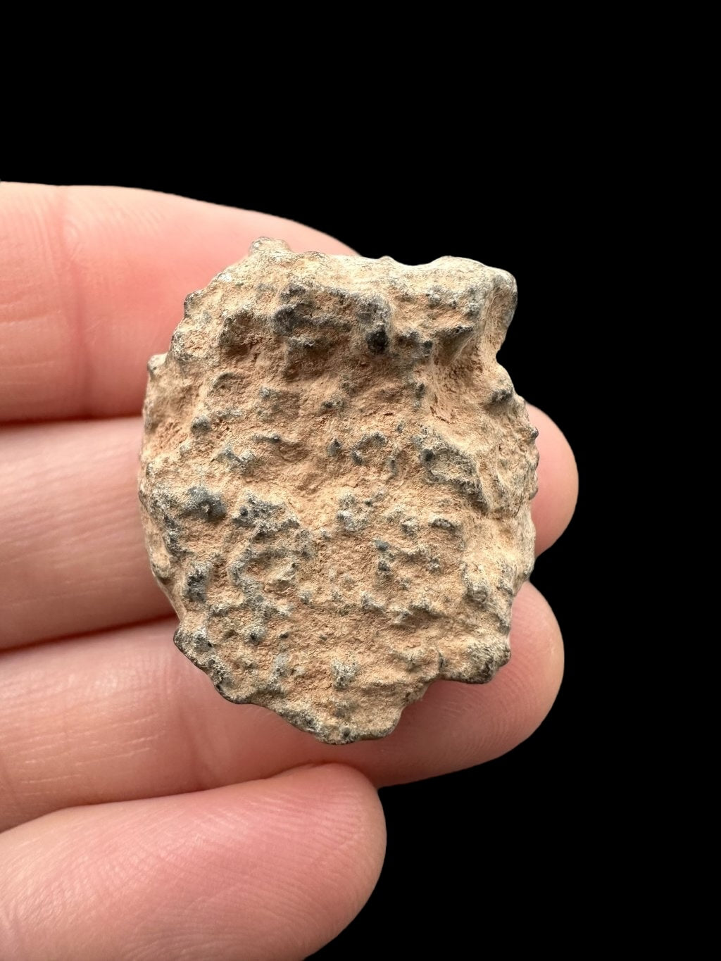 Lunar meteorite Bechar 003 – 10,5g – Algeria