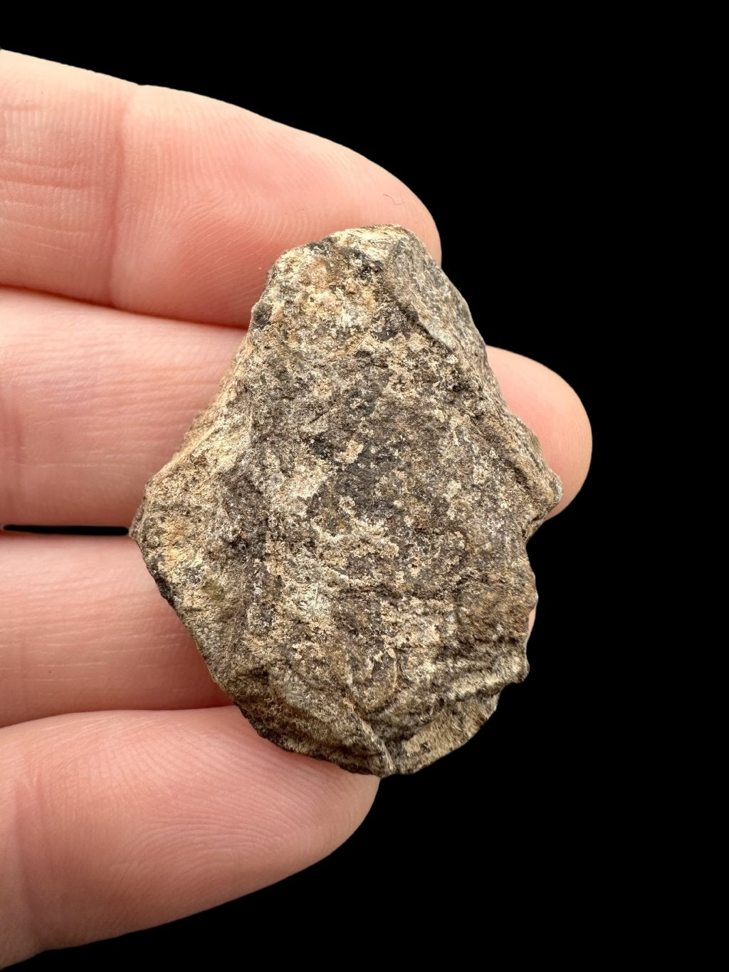 Meteorite Al Haggounia 001 – 11,1g – Western Sahara