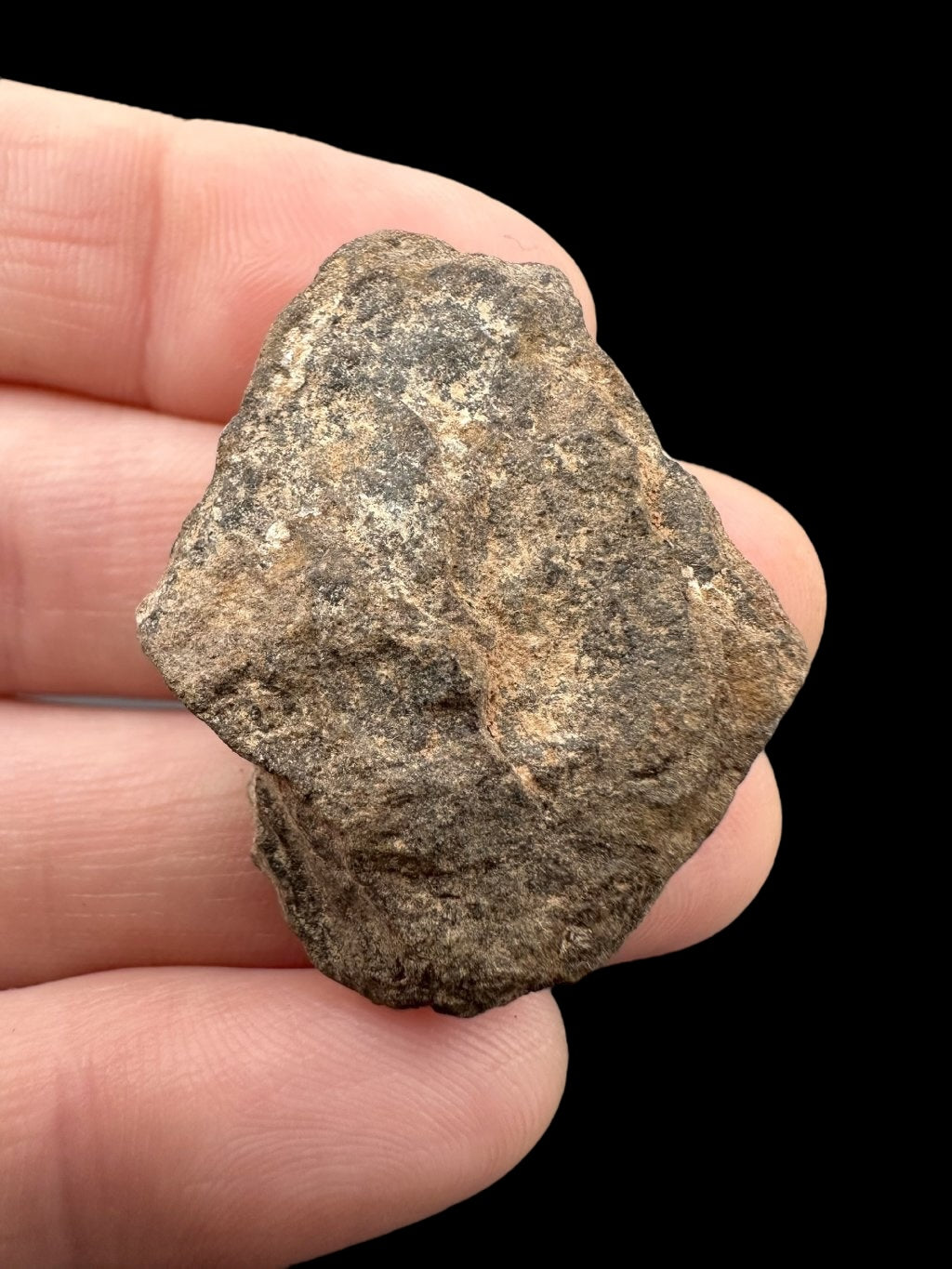Meteorite Al Haggounia 001 – 11,1g – Western Sahara - MEAH09