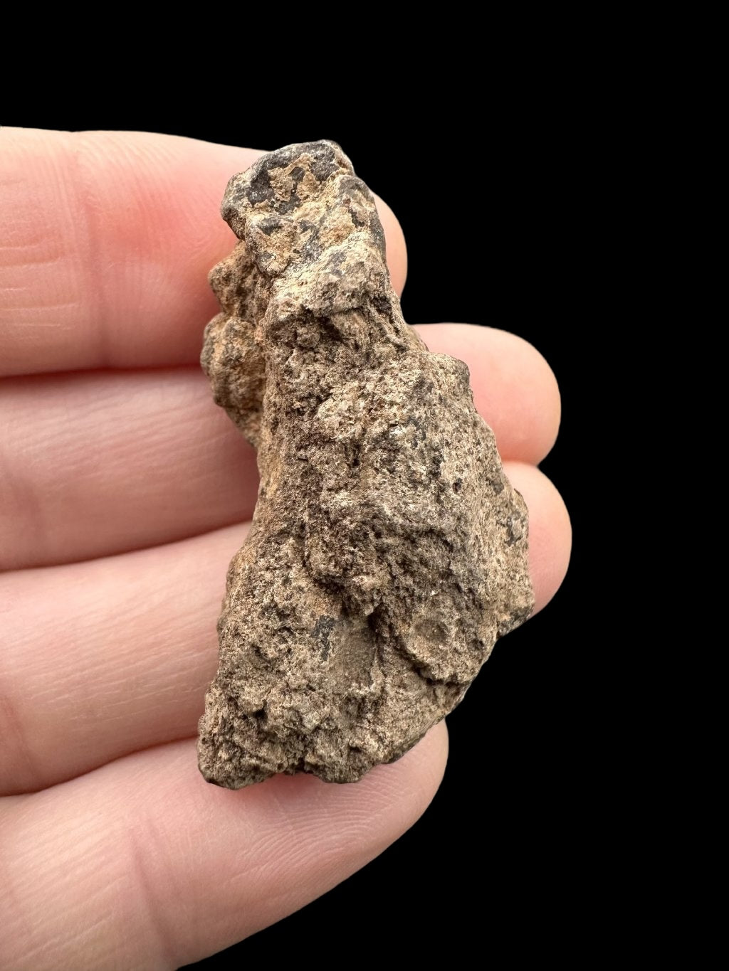 Meteorite Al Haggounia 001 – 11g – Western Sahara - MEAH13