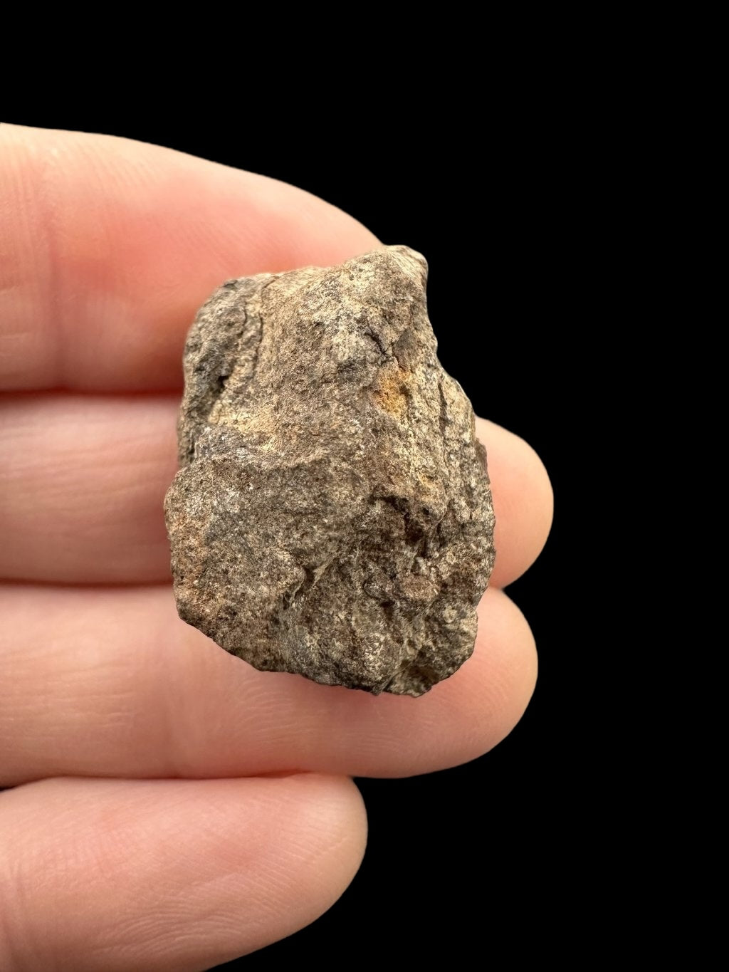 Meteorite Al Haggounia 001 – 8,1g – Western Sahara