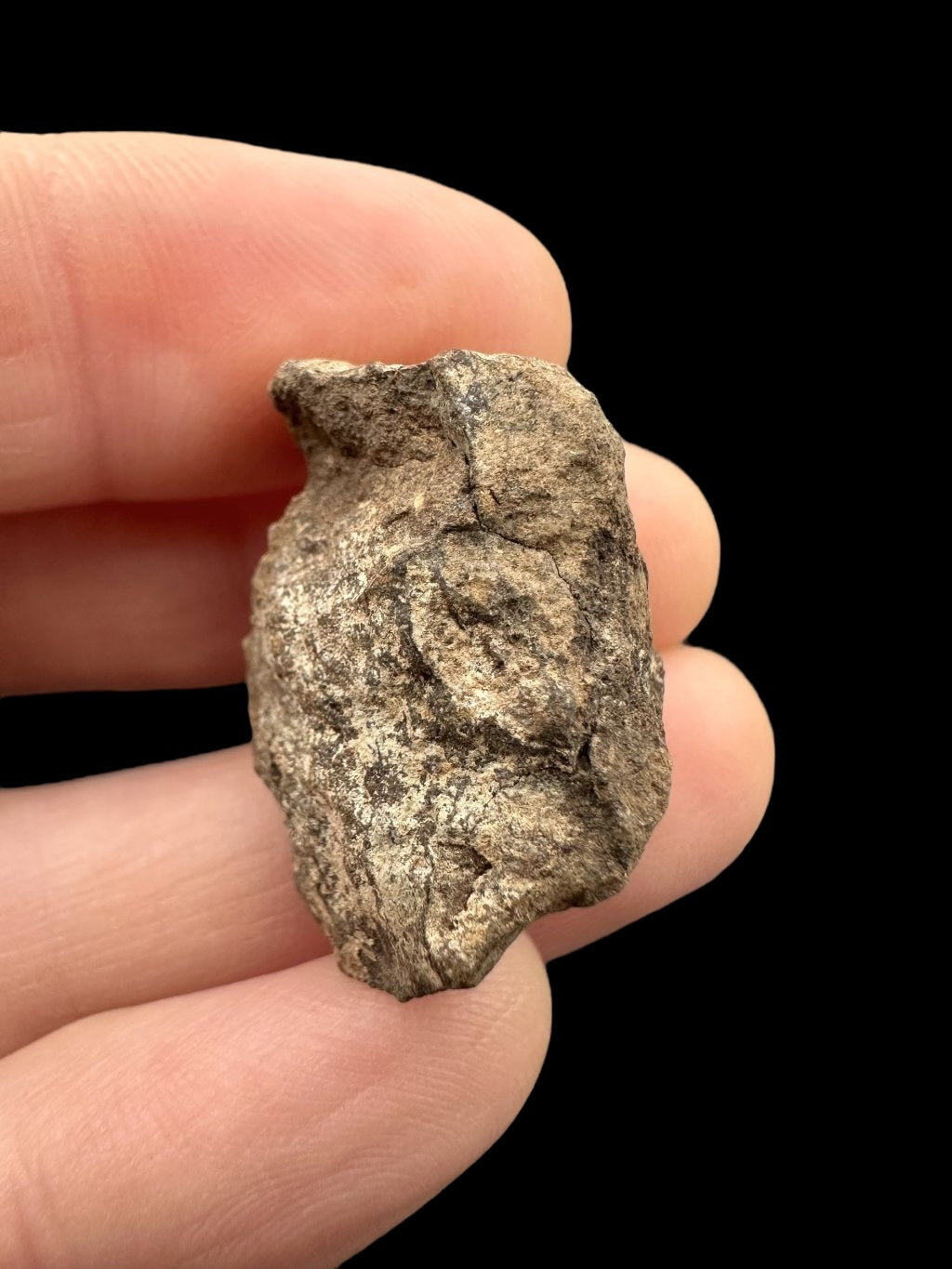 Meteorite Al Haggounia 001 – 8,1g – Western Sahara - MEAH14