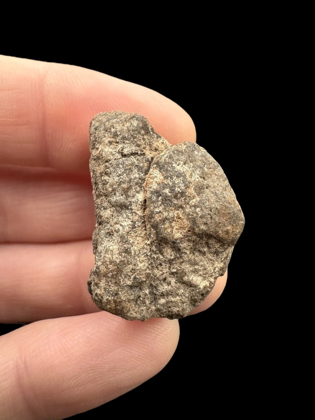 Meteorite Al Haggounia 001 – 8,8g – Western Sahara