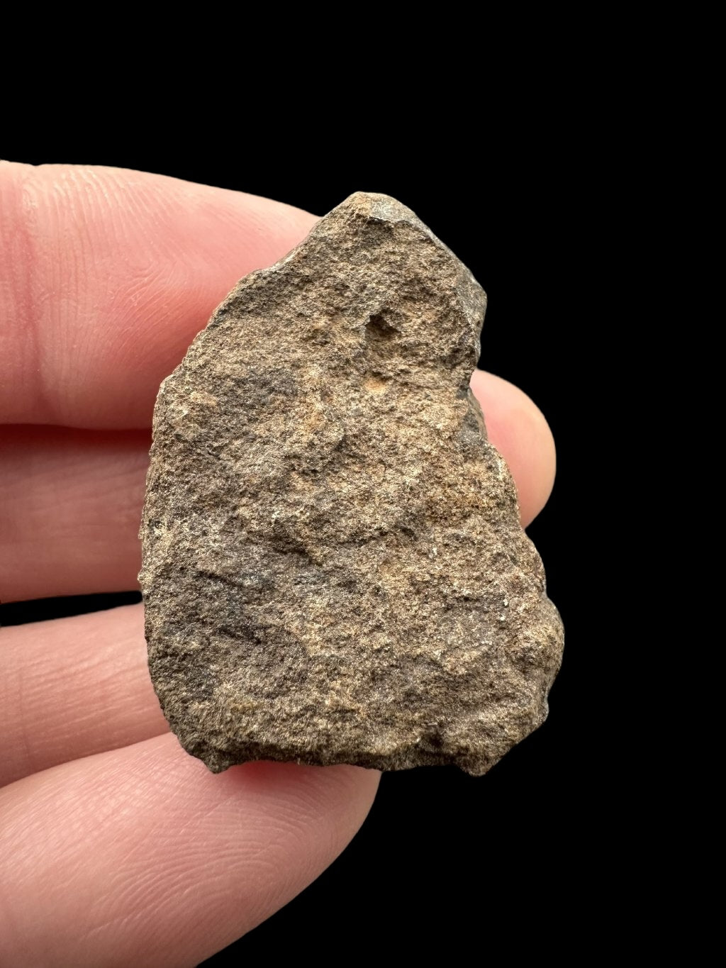 Meteorite Al Haggounia 001 – 11g – Western Sahara - MEAH18