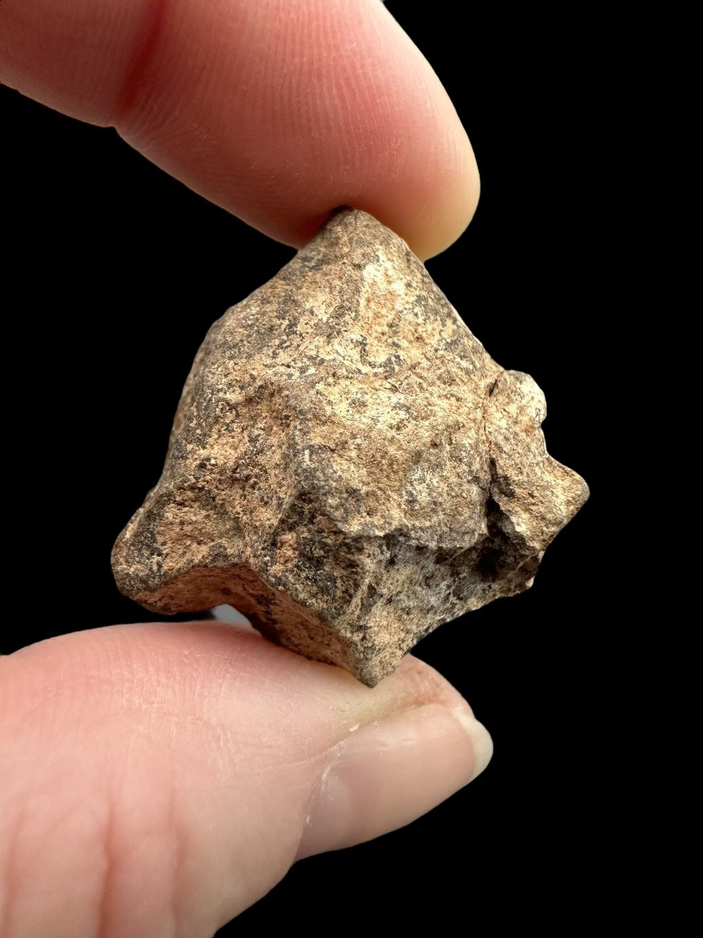 Meteorite Al Haggounia 001 – 11,8g – Western Sahara - MEAH22
