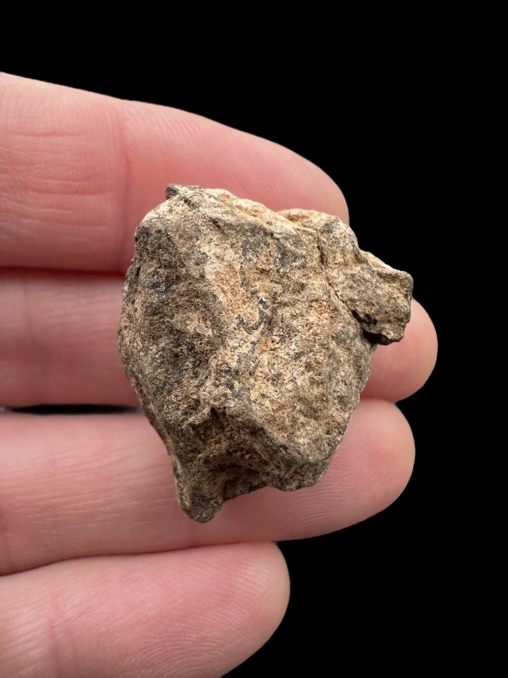 Meteorite Al Haggounia 001 – 11,8g – Western Sahara