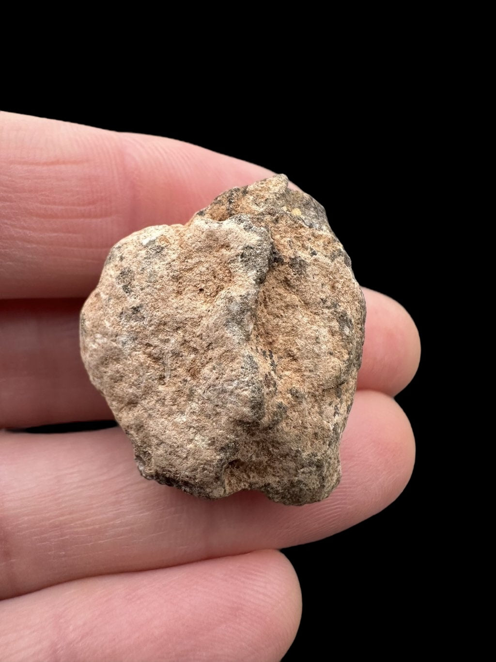 Meteorite Al Haggounia 001 – 11,8g – Western Sahara - MEAH22