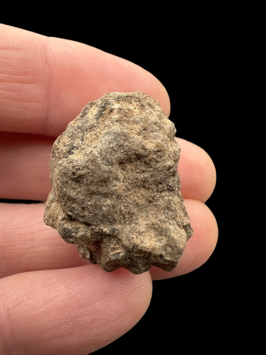 Meteorite Al Haggounia 001 – 9,3g – Western Sahara
