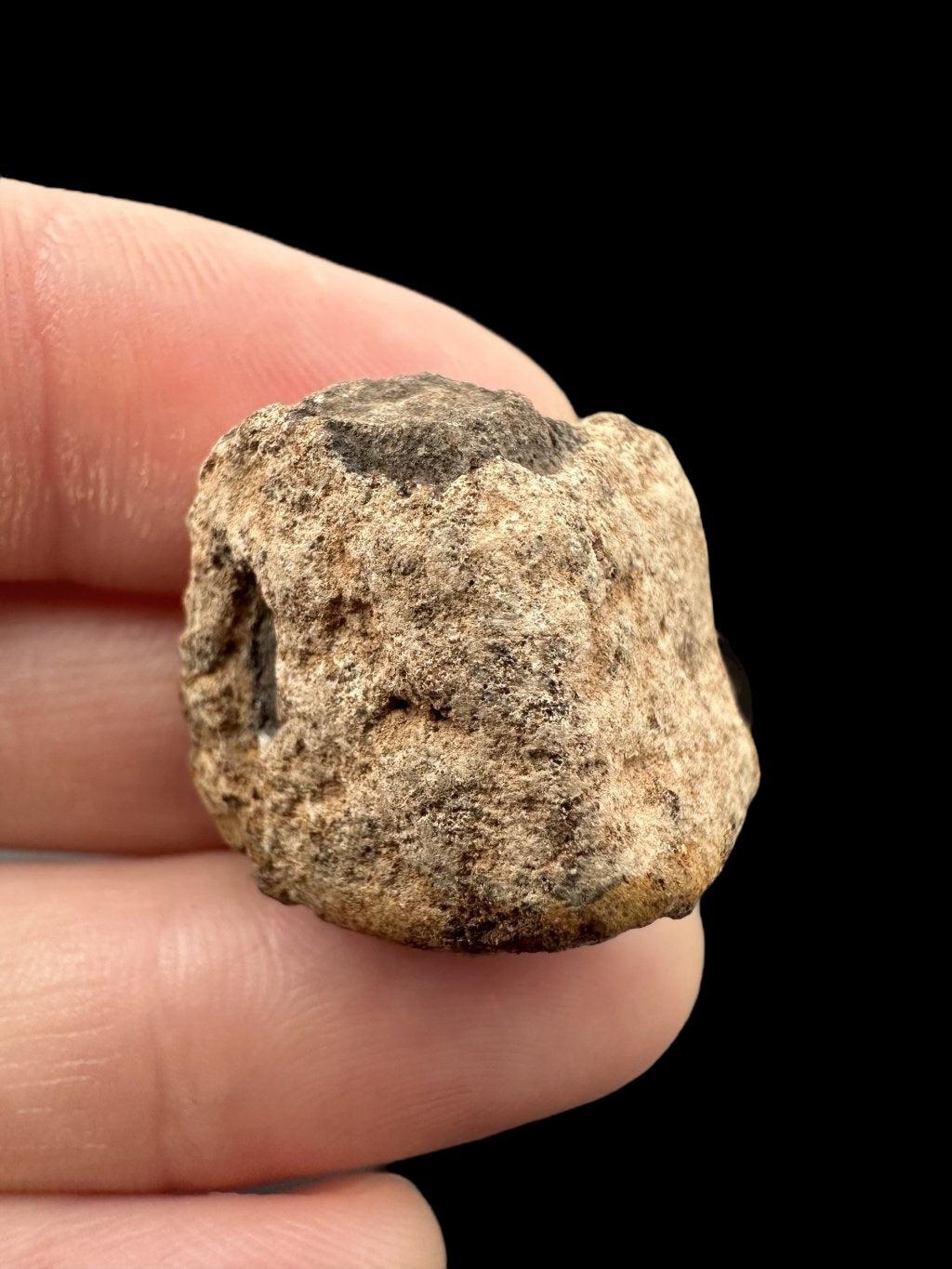 Meteorite Al Haggounia 001 – 9,5g – Western Sahara - MEAH24