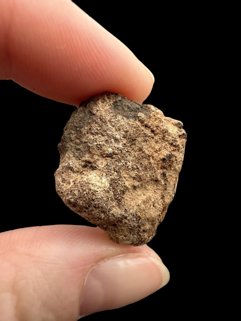 Meteorite Al Haggounia 001 – 9,5g – Western Sahara - MEAH24