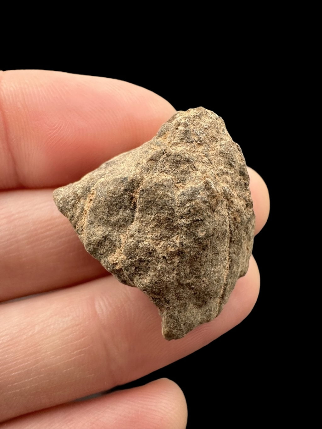 Meteorite Al Haggounia 001 – 8,3g – Western Sahara