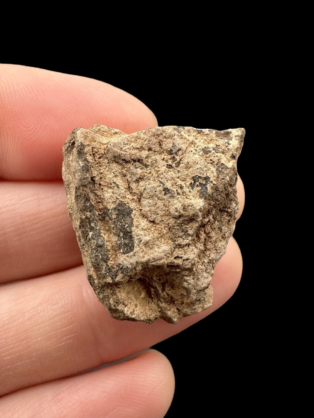 Meteorite Al Haggounia 001 – 8,3g – Western Sahara - MEAH26