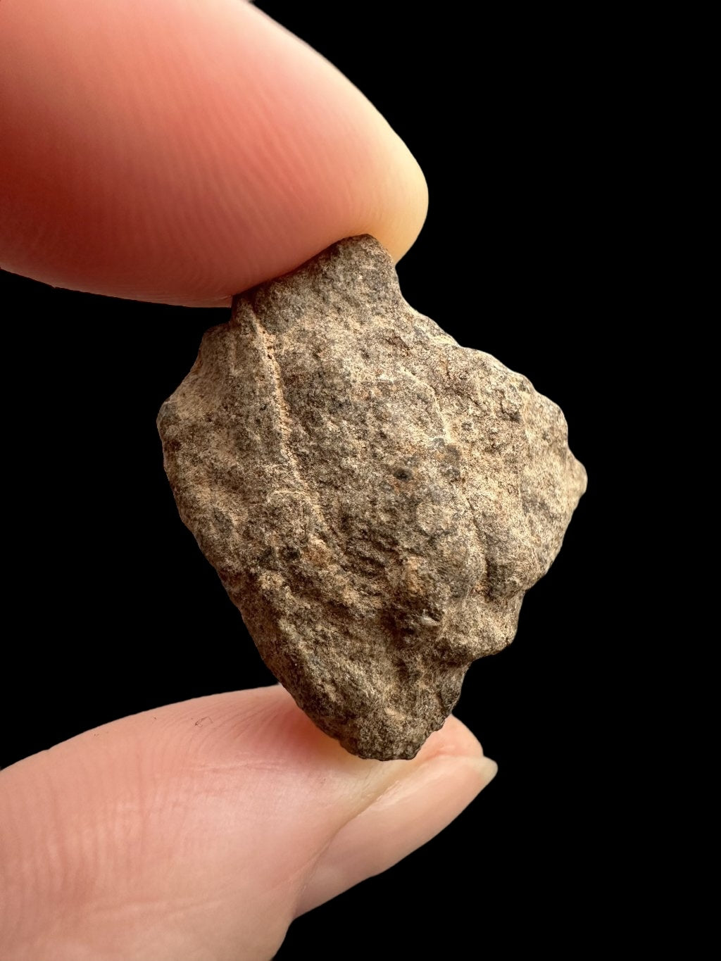 Meteorite Al Haggounia 001 – 8,3g – Western Sahara - MEAH26