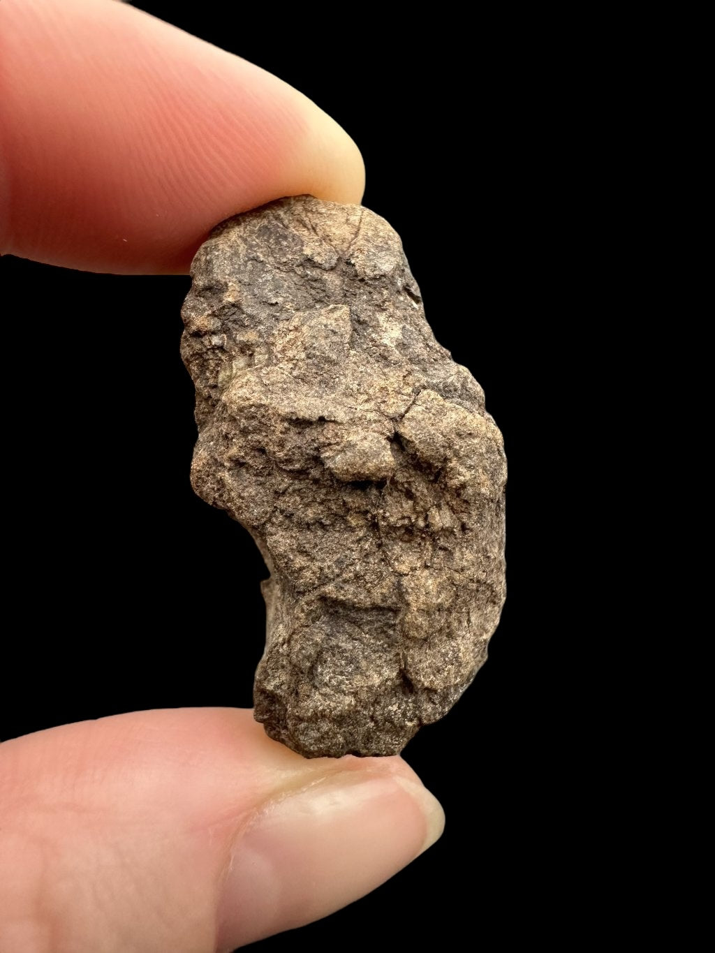 Meteorite Al Haggounia 001 – 14,1g – Western Sahara - MEAH27