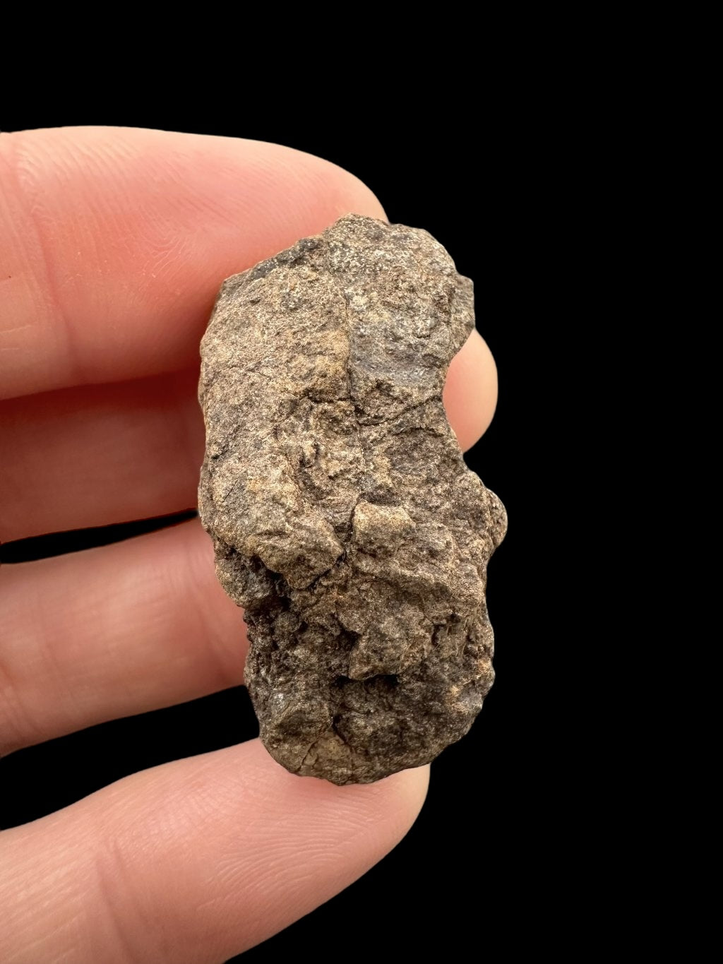 Meteorite Al Haggounia 001 – 14,1g – Western Sahara