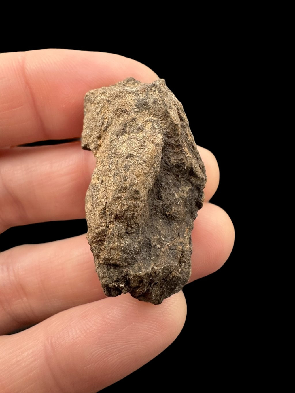 Meteorite Al Haggounia 001 – 14,1g – Western Sahara - MEAH27